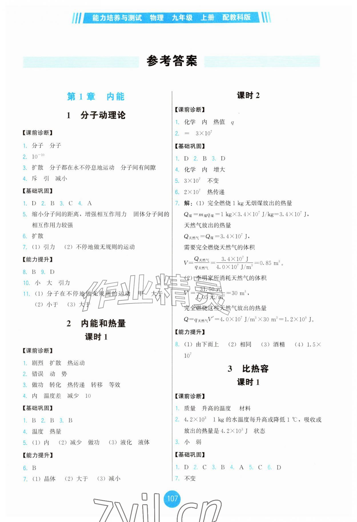 2026年能力培养与测试九年级物理上册教科版&nbsp;第1页