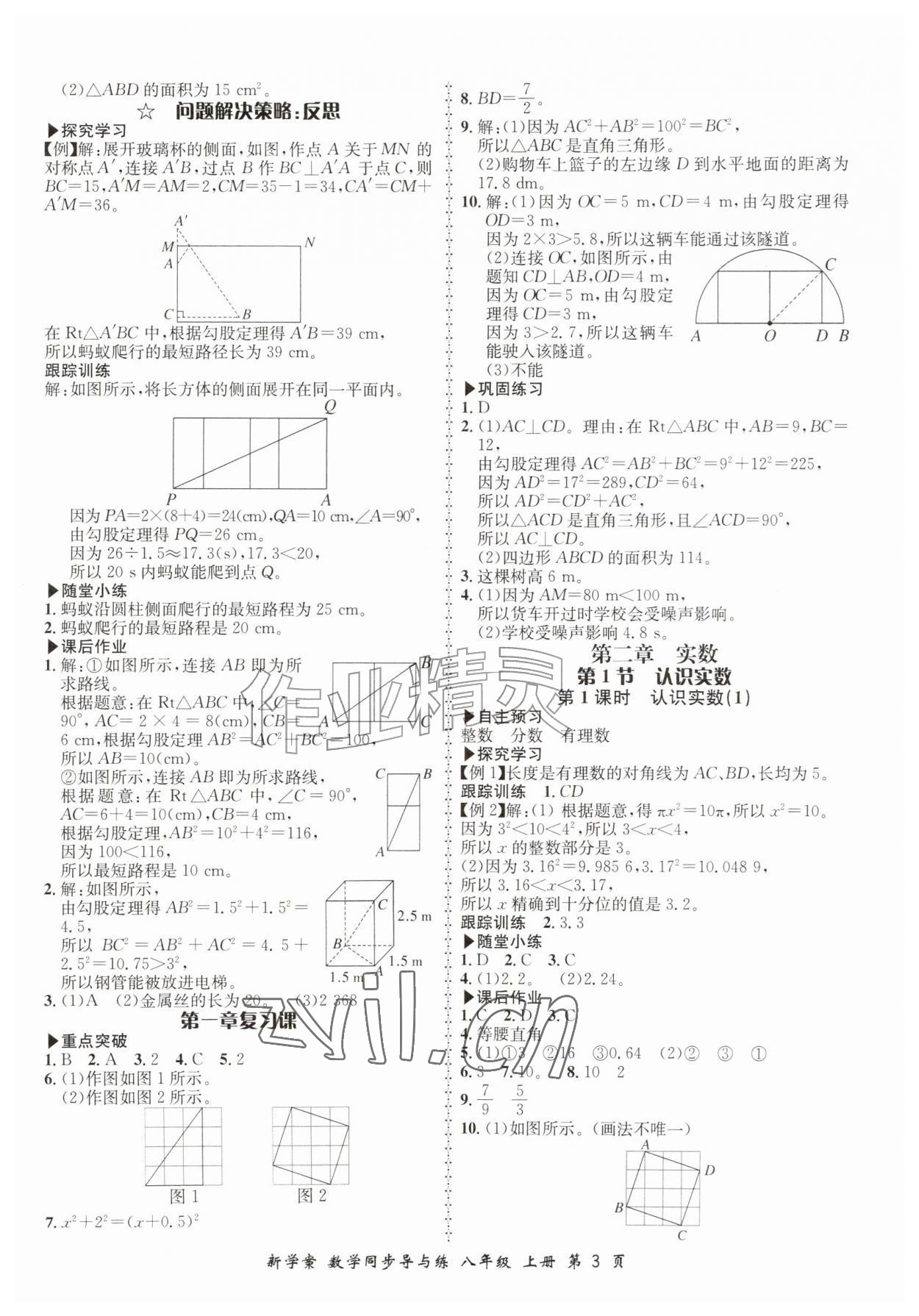 2026年新学案同步导与练八年级数学上册北师大版&nbsp;第3页