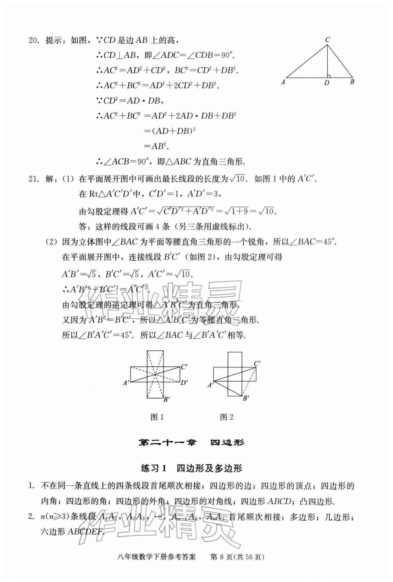 2026年学习探究诊断八年级数学下册人教版&nbsp;第8页