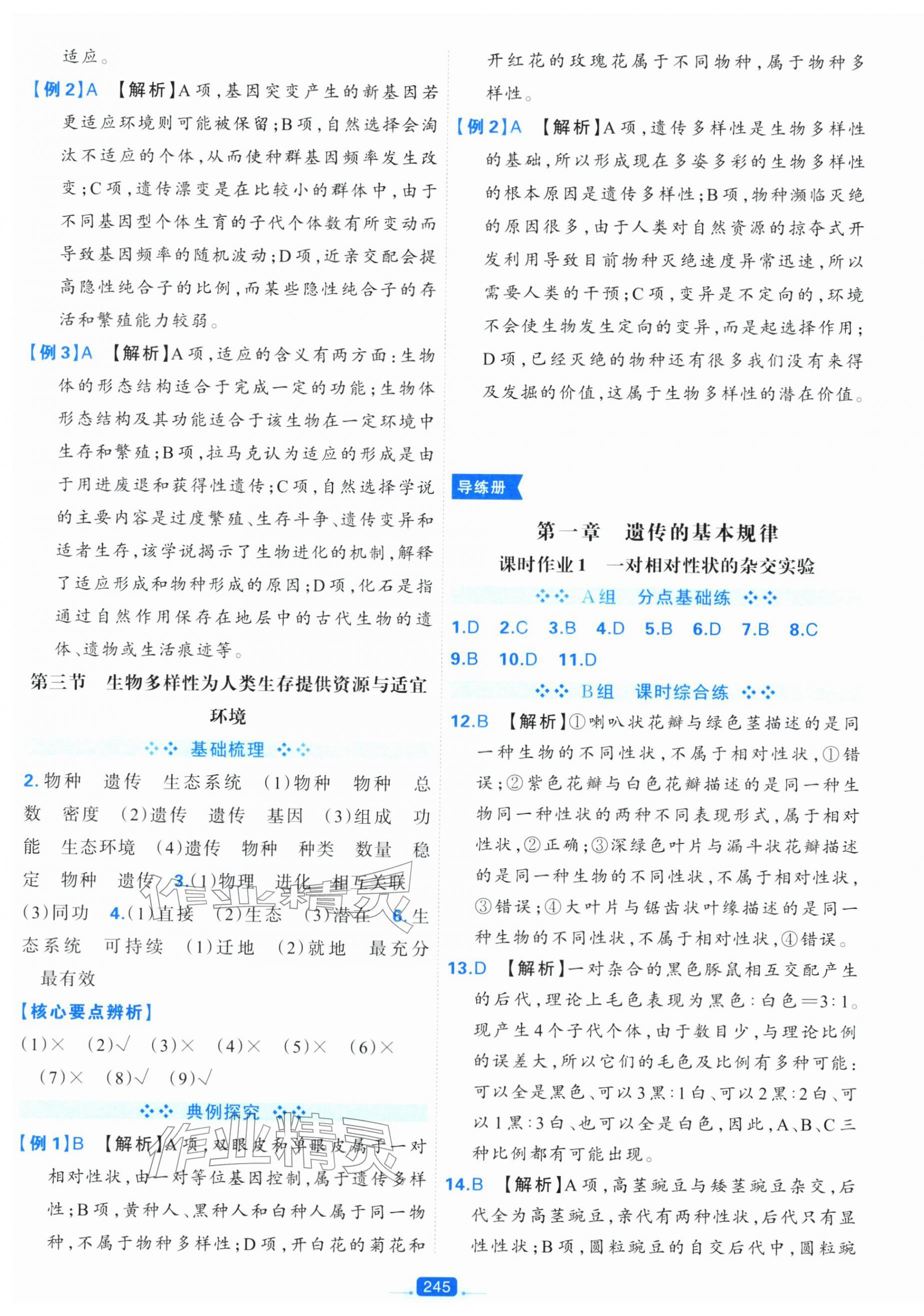 2025年A+评价学练测高中生物必修2&nbsp;第13页
