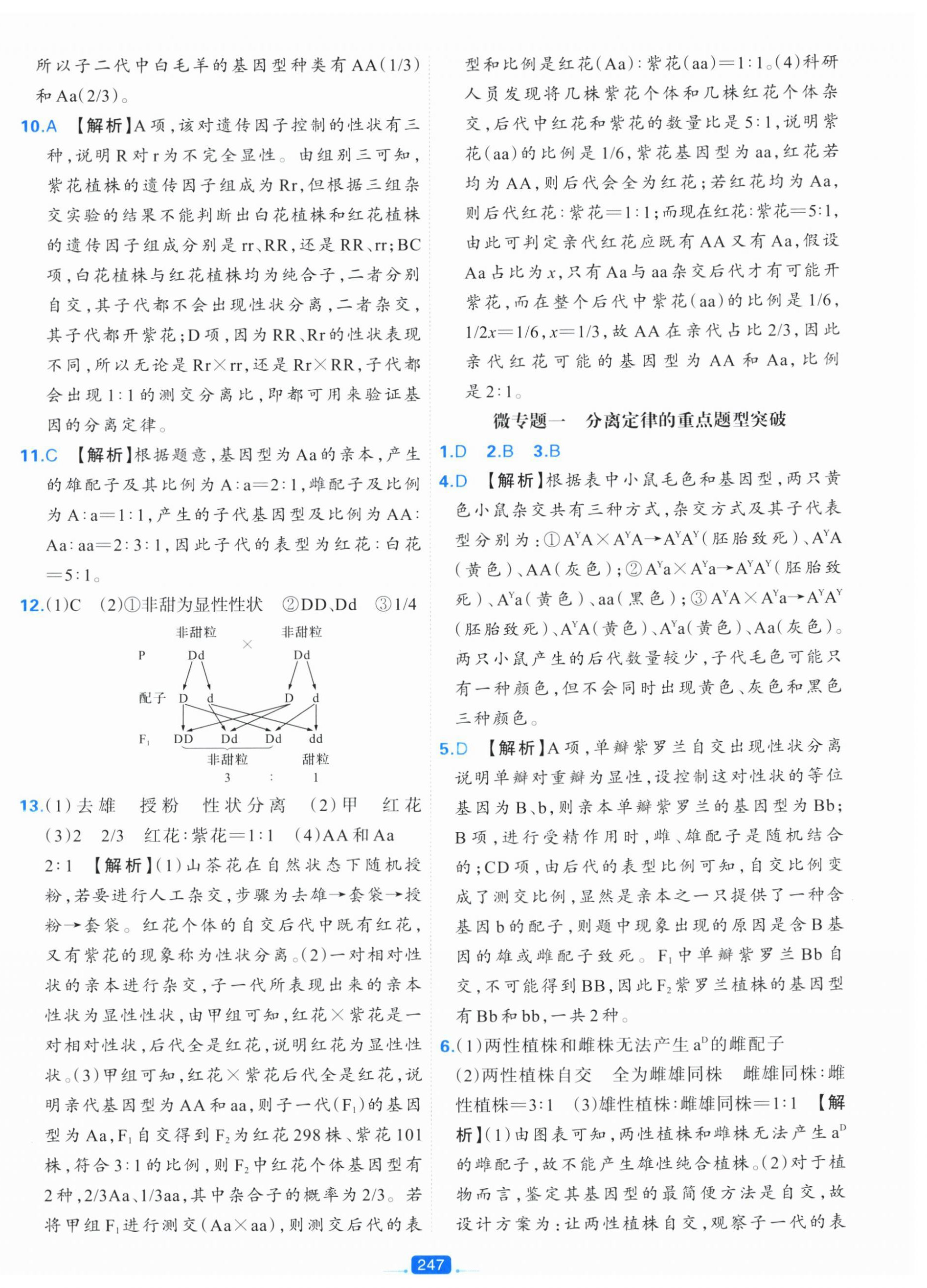 2025年A+评价学练测高中生物必修2&nbsp;第15页