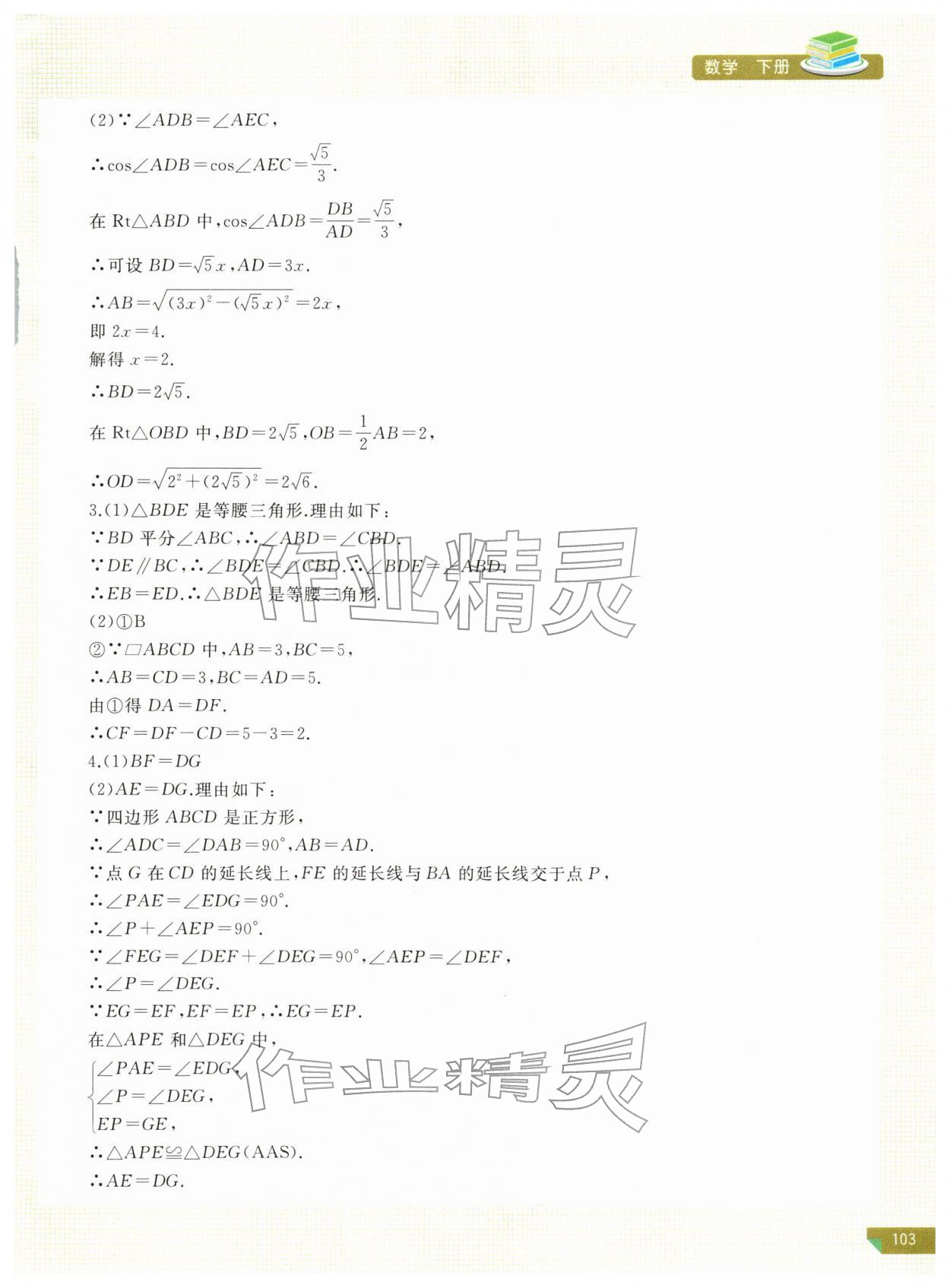 2026年河南省初中学业水平考试解析与检测数学下册&nbsp;第7页