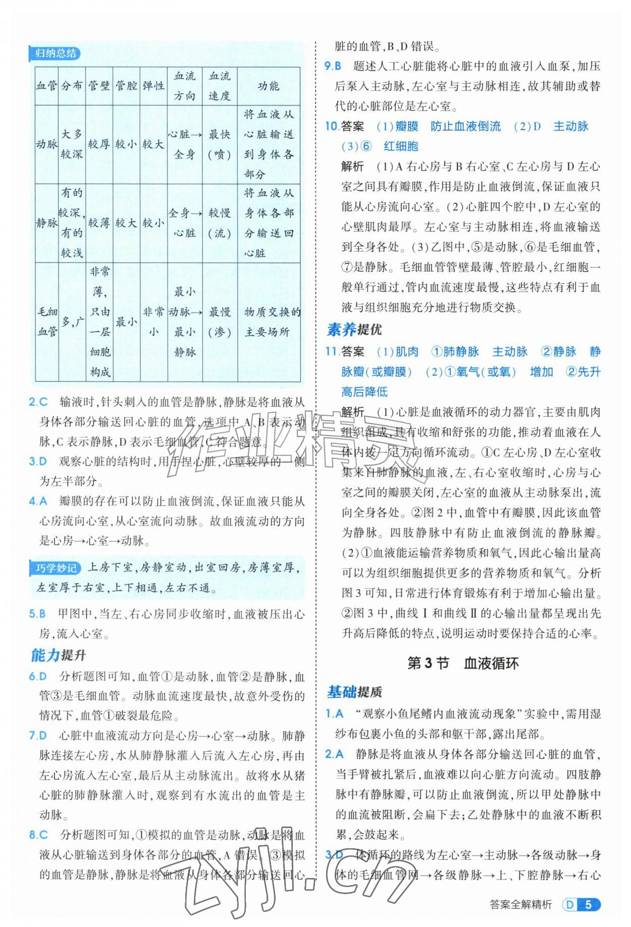 2026年5年中考3年模拟八年级生物上册苏科版&nbsp;第5页