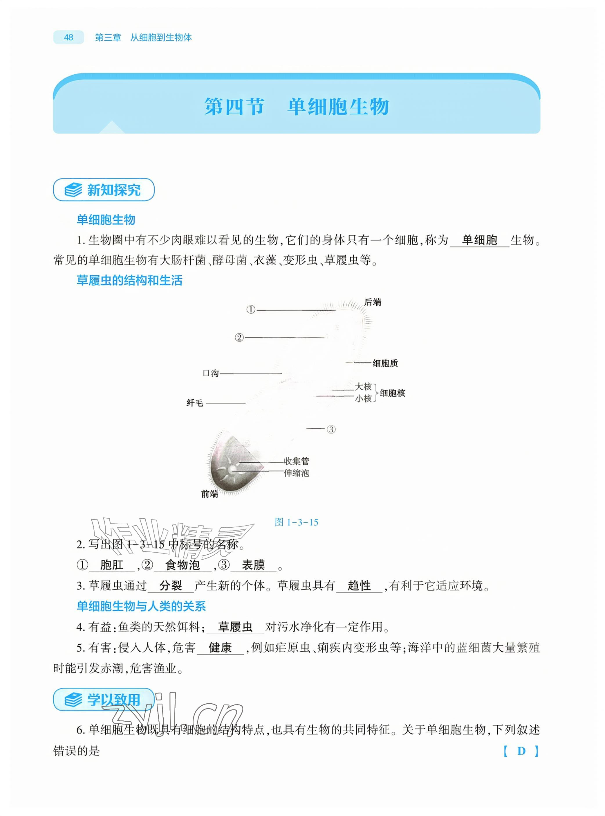 2026年基础训练大象出版社七年级生物上册人教版&nbsp;参考答案第48页