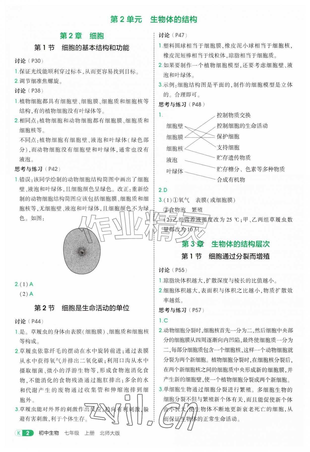 2026年教材课本七年级生物上册北师大版&nbsp;参考答案第2页