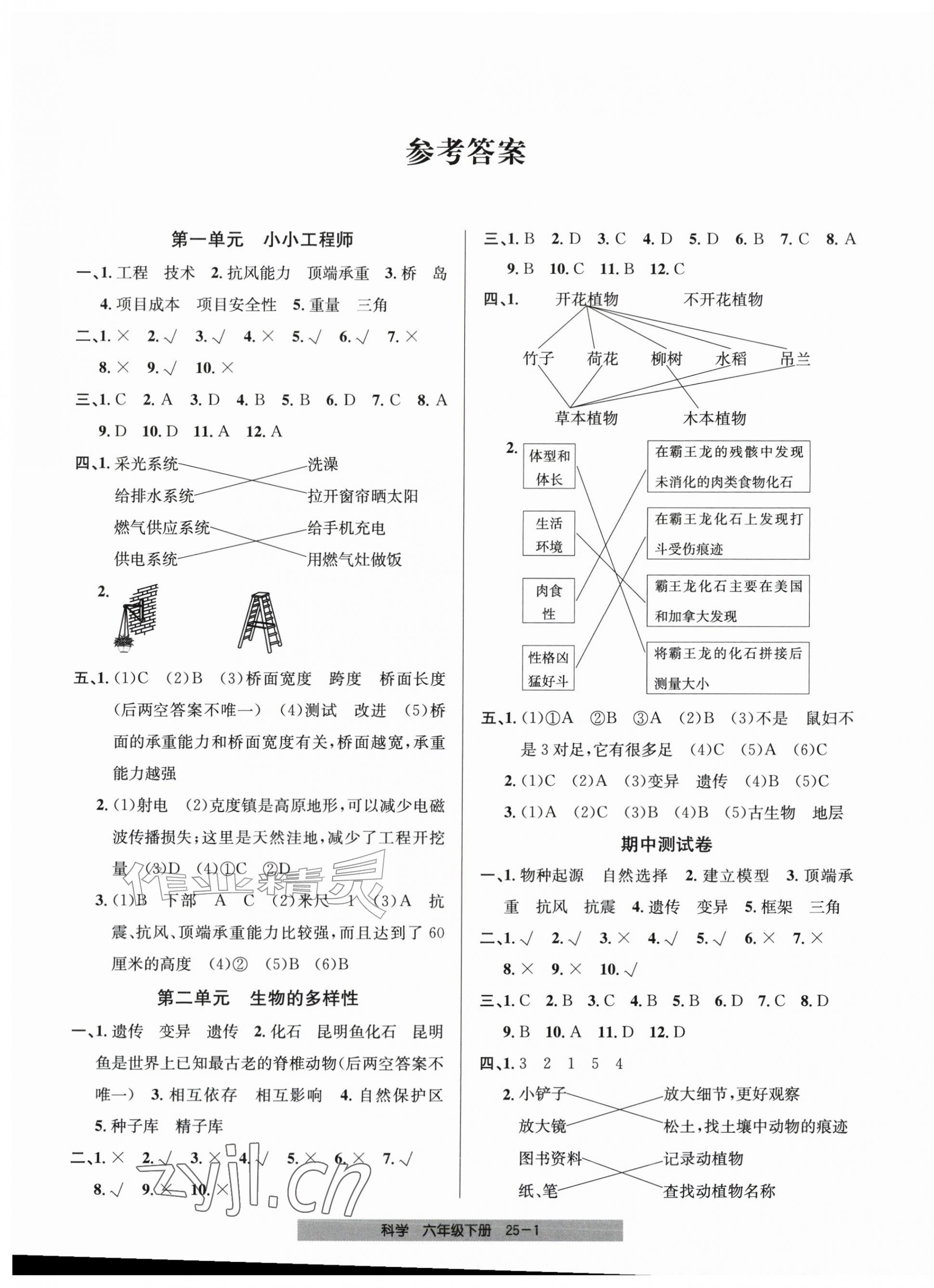 2026年期末直通车六年级科学下册教科版&nbsp;第1页