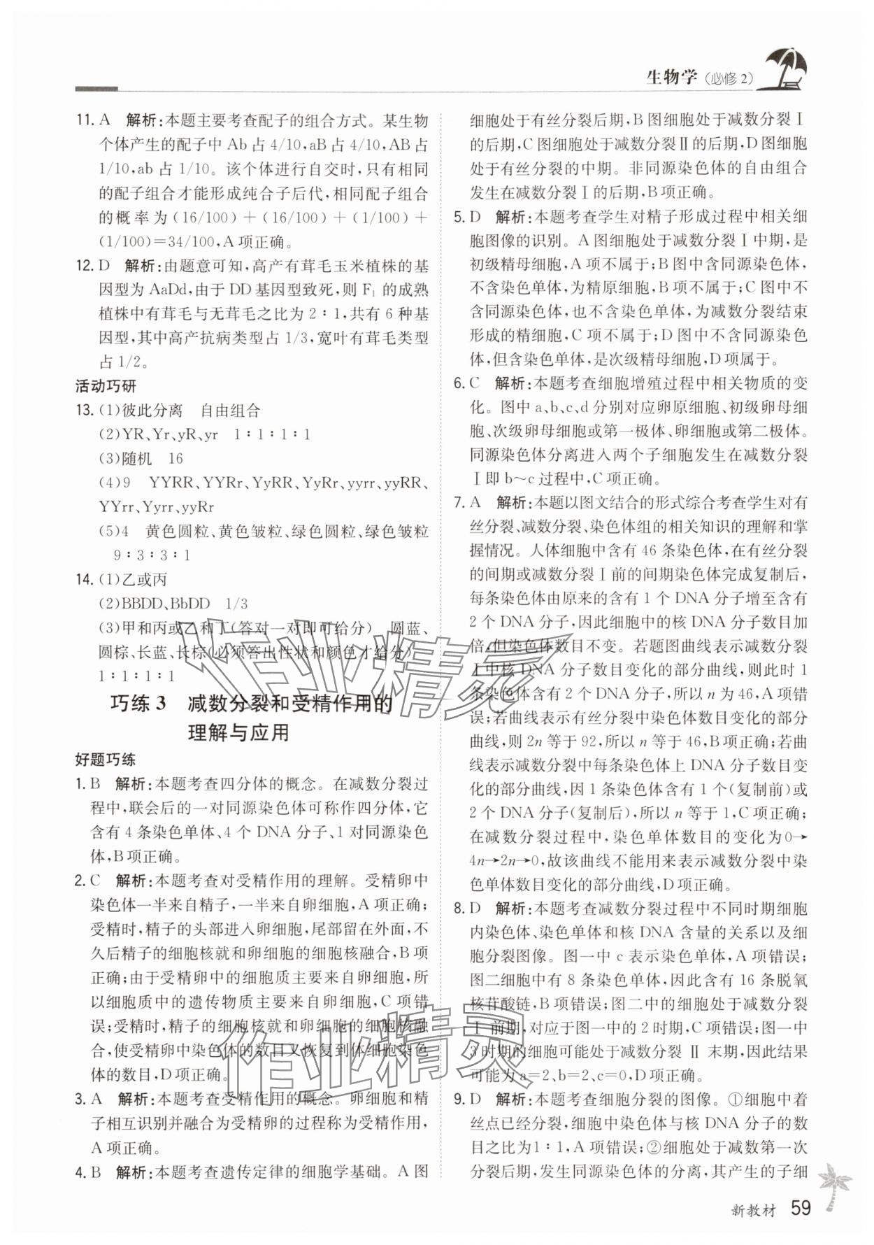 2025年假日巧练高中生物必修2&nbsp;第3页