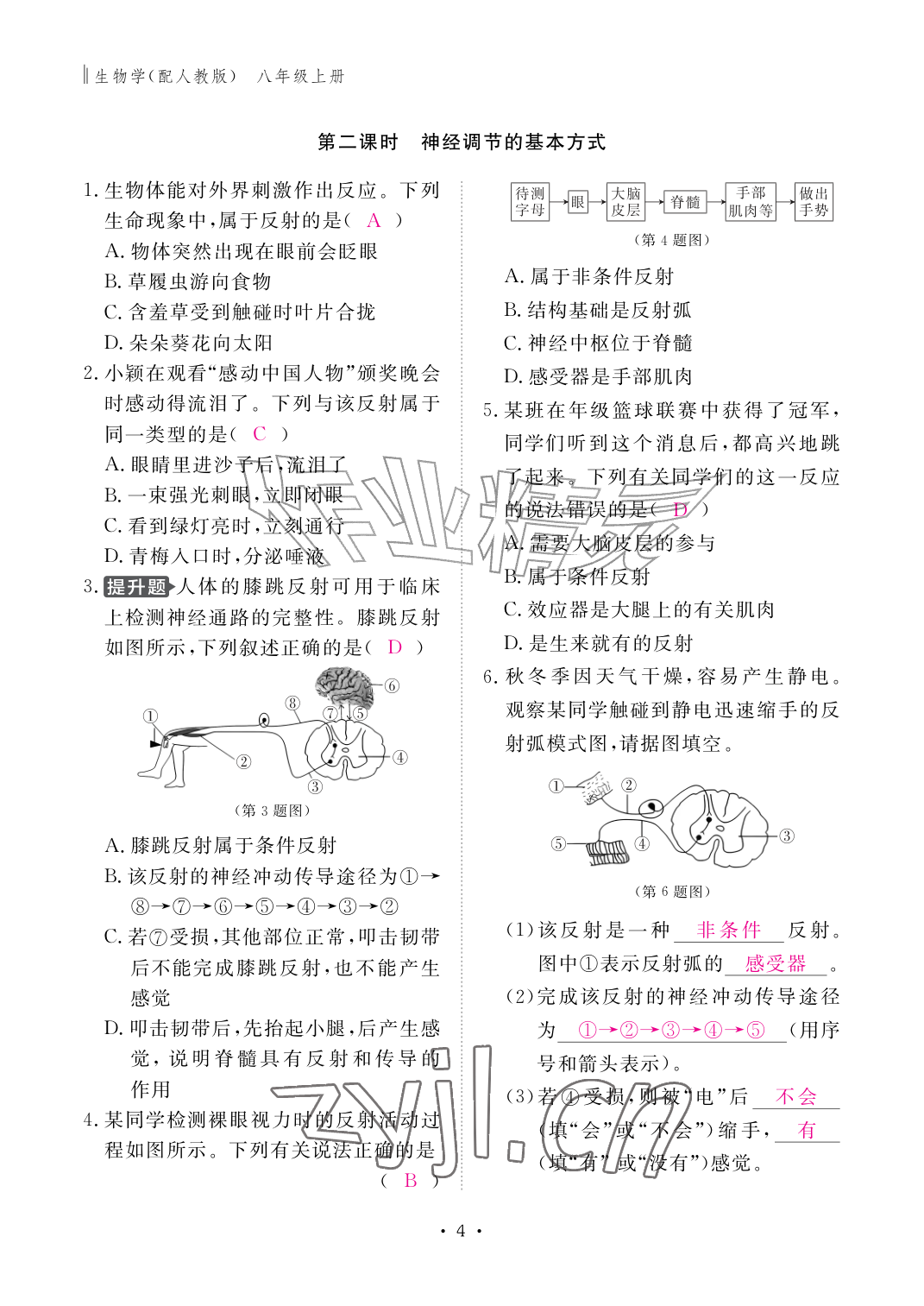 2026年作业本江西教育出版社八年级生物上册人教版&nbsp;参考答案第4页