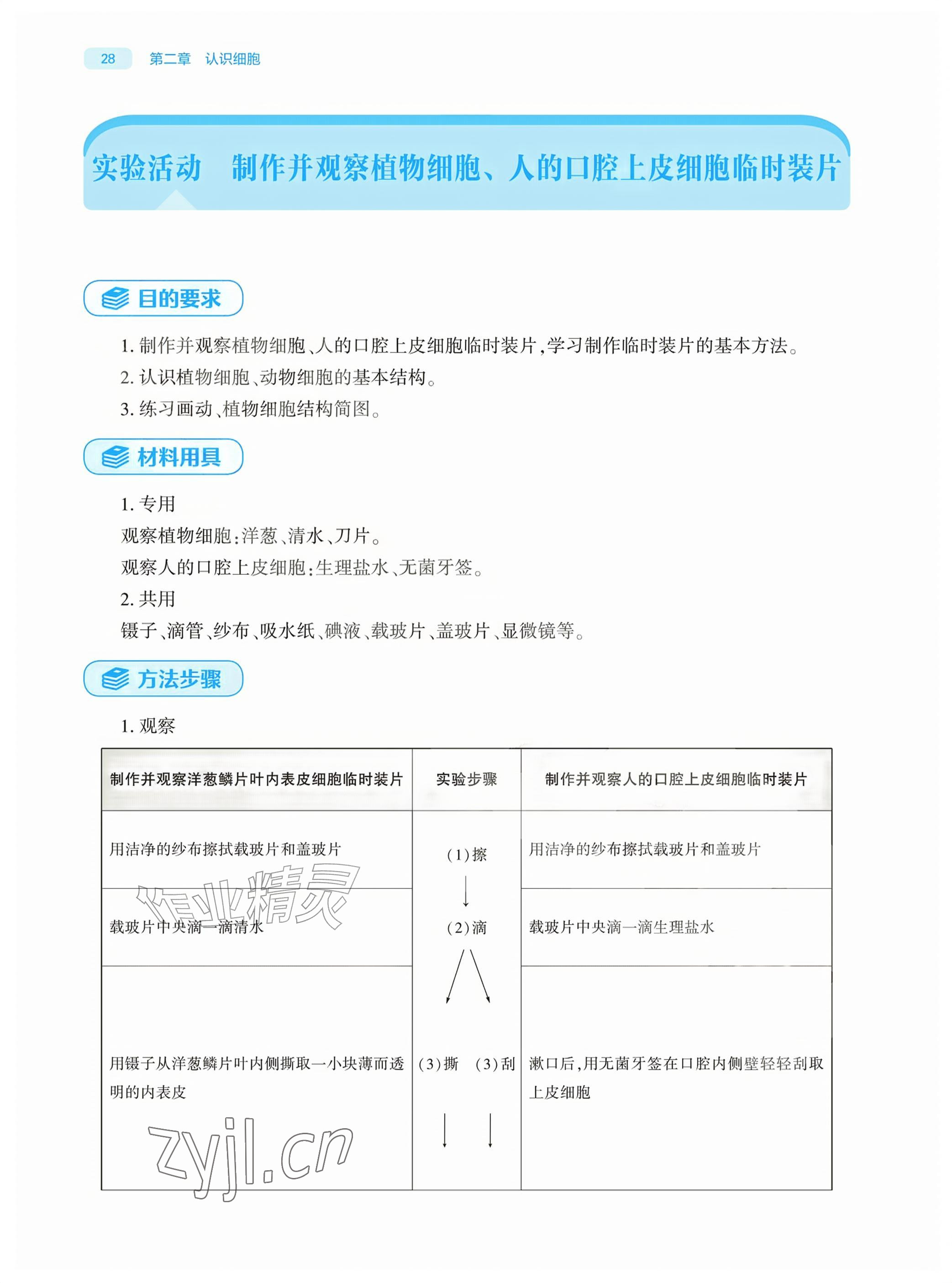 2026年基础训练大象出版社七年级生物上册人教版&nbsp;参考答案第28页