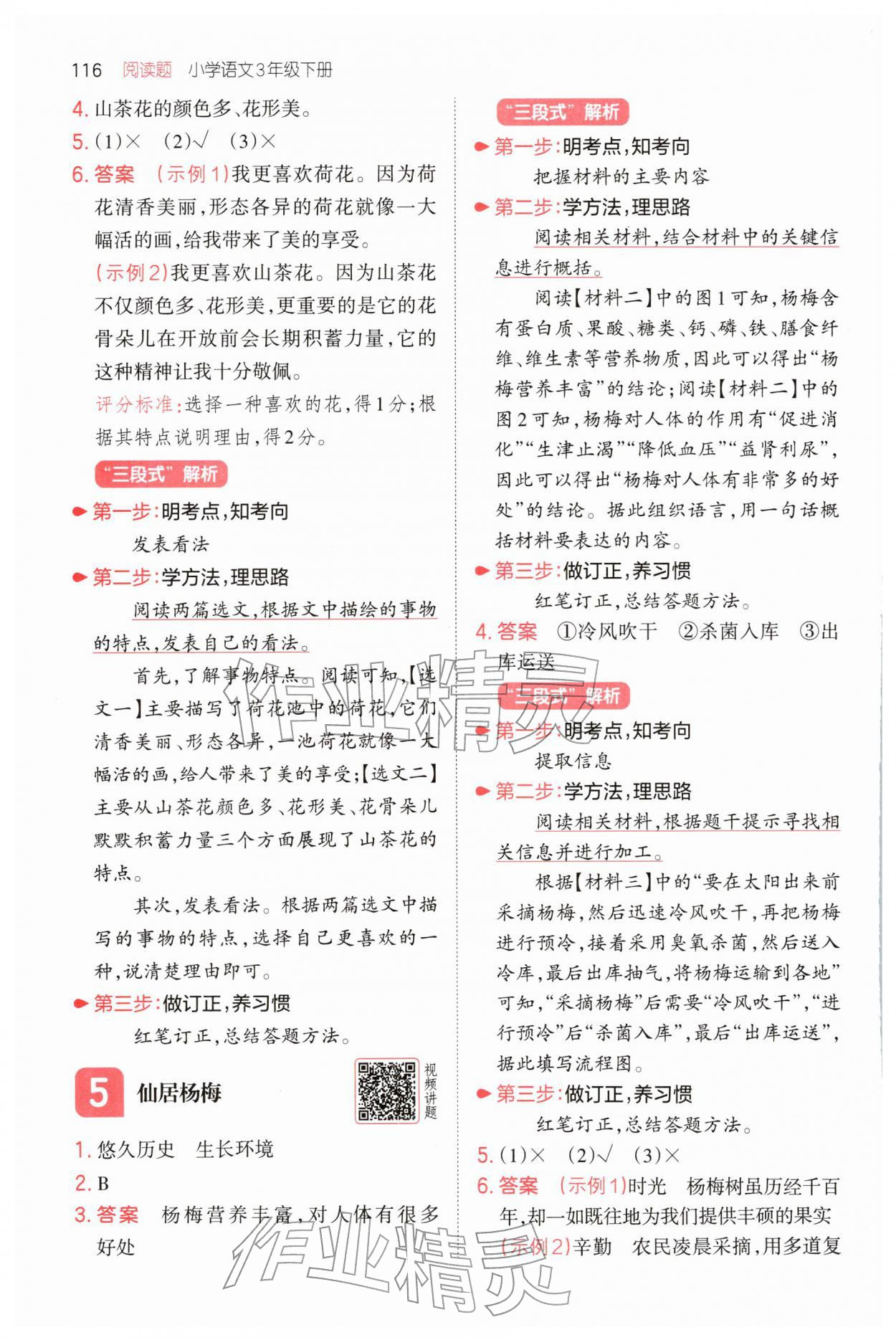 2026年一本小学语文同步阅读三年级下册人教版&nbsp;第4页