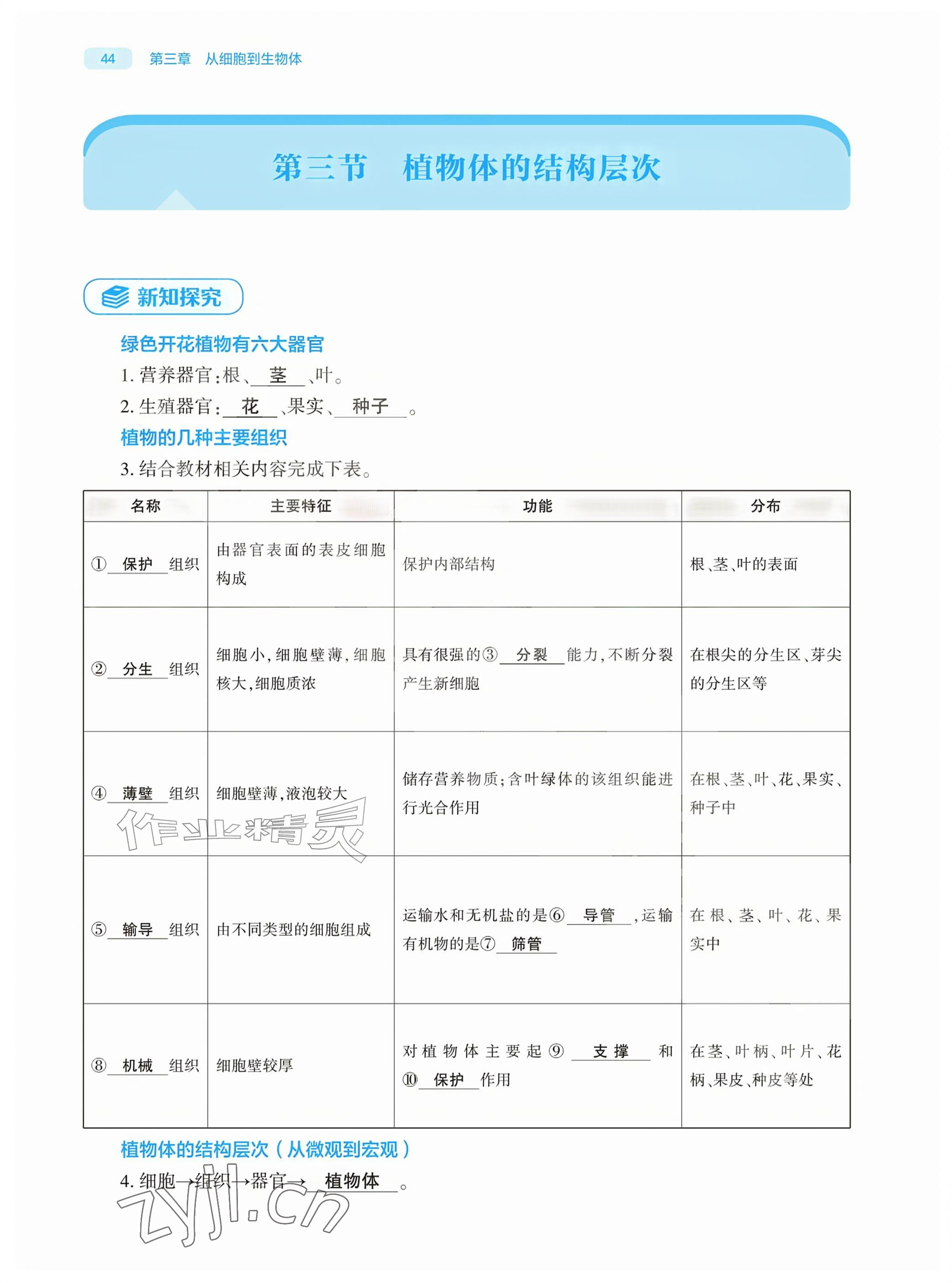 2026年基础训练大象出版社七年级生物上册人教版&nbsp;参考答案第44页
