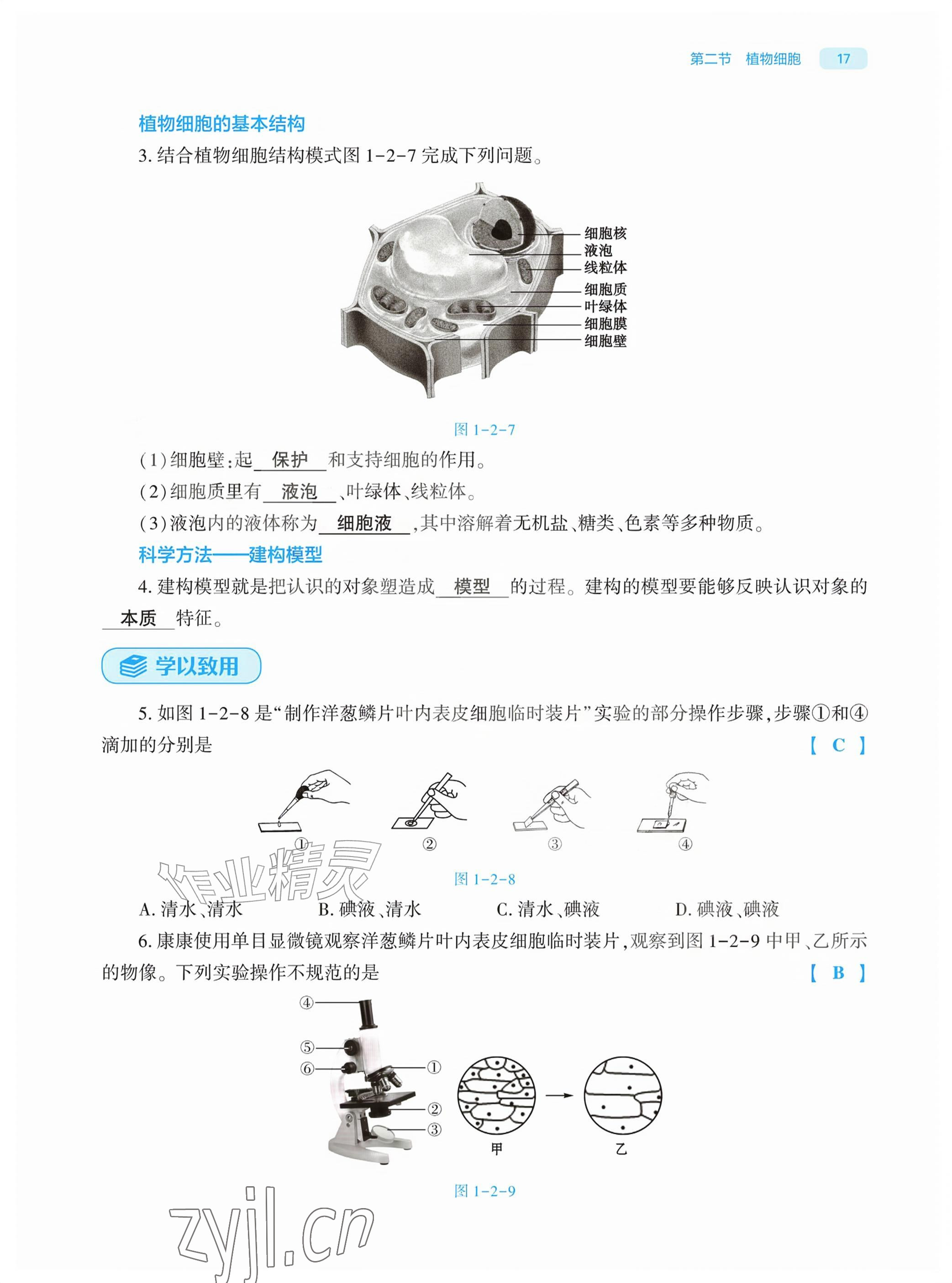 2026年基础训练大象出版社七年级生物上册人教版&nbsp;参考答案第17页