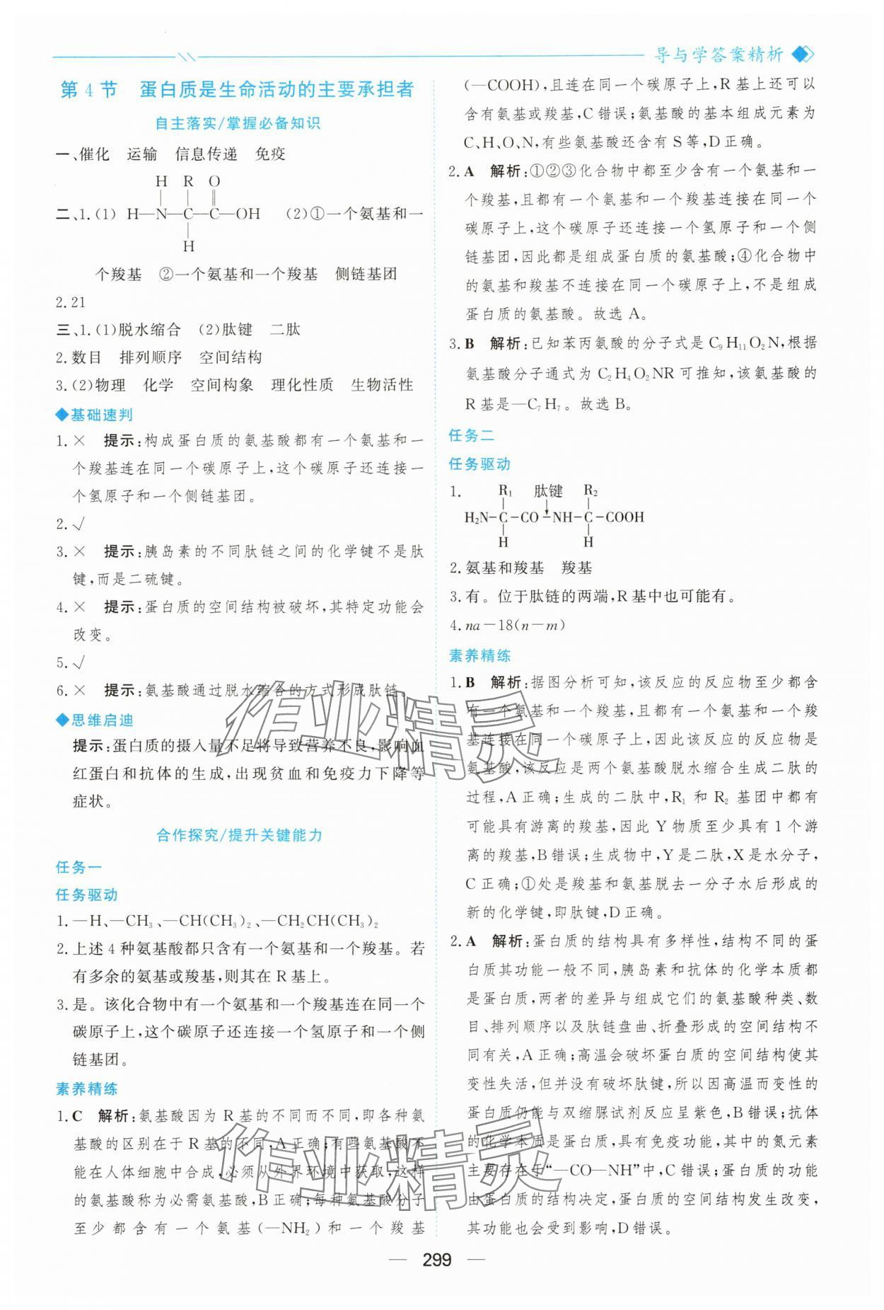 2025年新课程学习与测评高中生物必修1人教版&nbsp;参考答案第10页