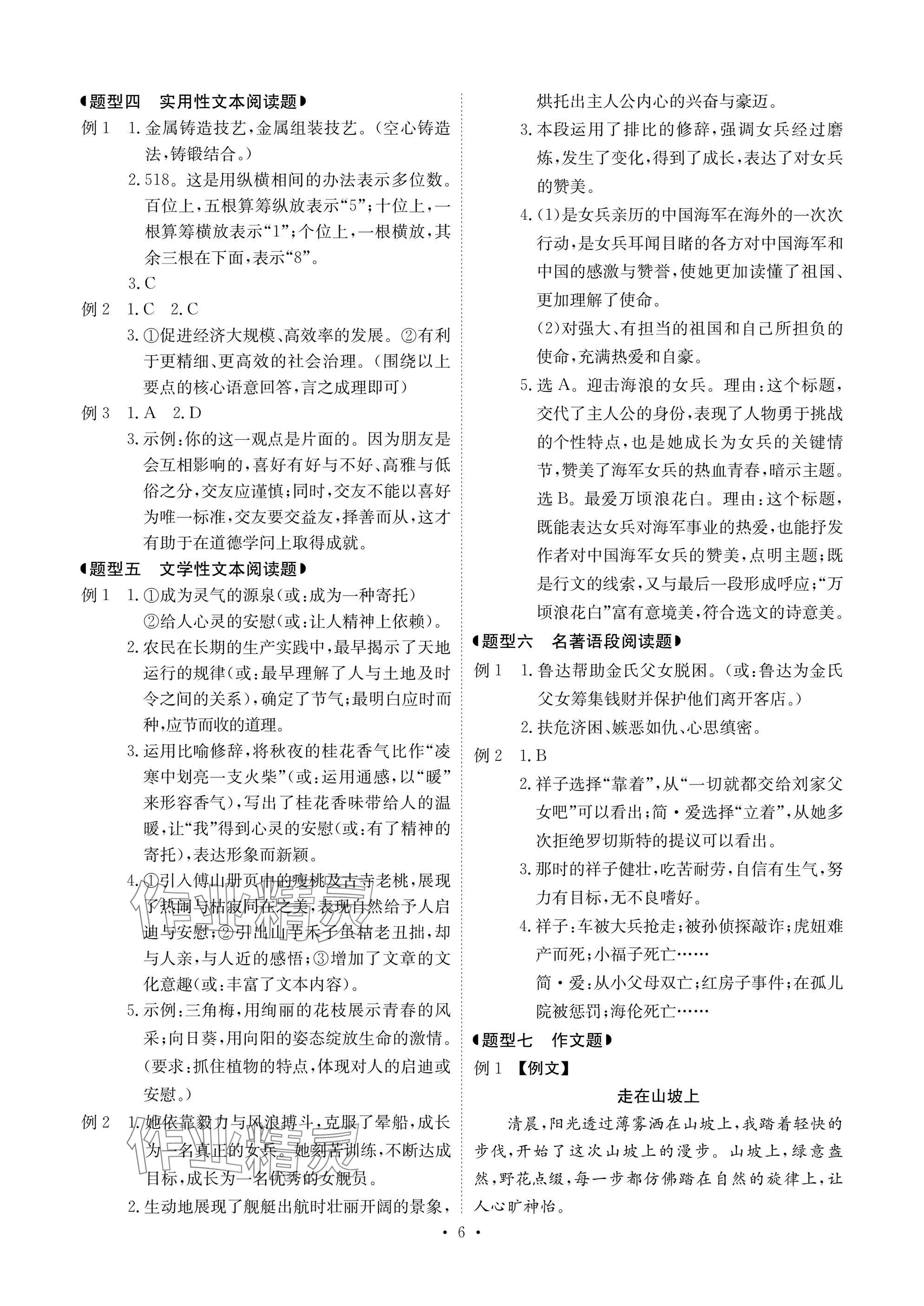 2025年新中考优化方案语文 参考答案第6页