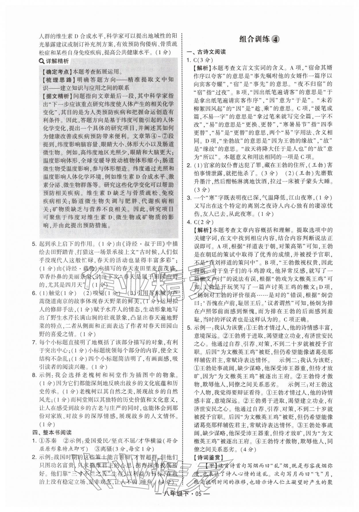 2026年学霸组合训练八年级语文下册人教版&nbsp;第5页