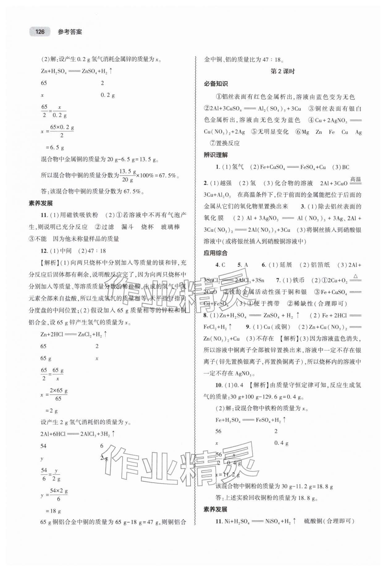 2026年同步练习册大象出版社九年级化学下册人教版&nbsp;第2页