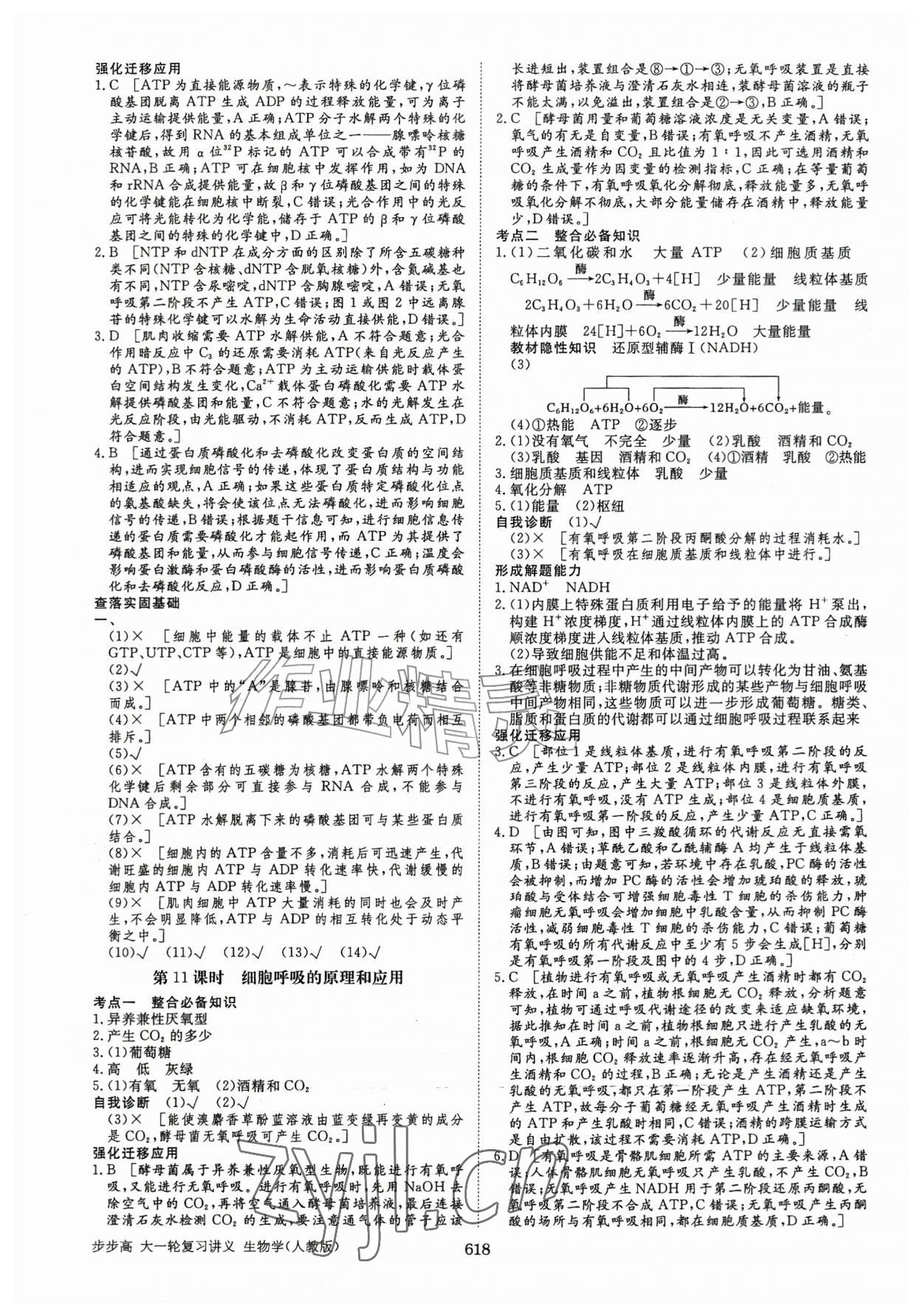 2026年步步高大一轮复习讲义高中生物人教版&nbsp;第10页