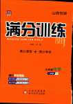 2024年满分训练设计九年级化学下册人教版山西专版