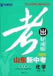 2024年考出好成绩中考总复习化学中考鲁教版山东专版