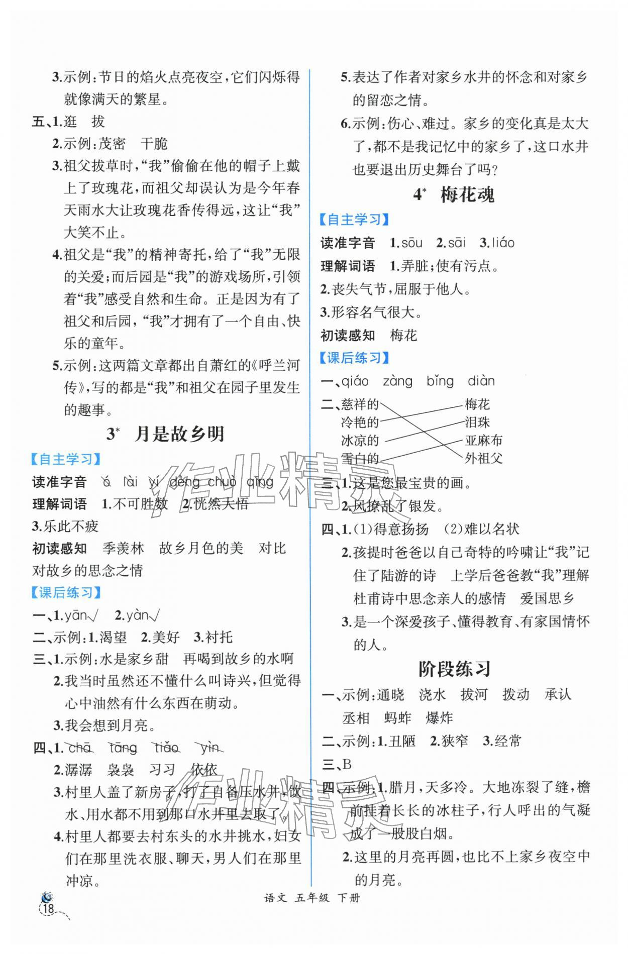 2026年人教金学典同步解析与测评五年级语文下册人教版云南专版&nbsp;第2页