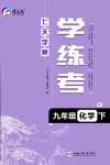 2024年七天學(xué)案學(xué)練考九年級(jí)化學(xué)下冊(cè)人教版