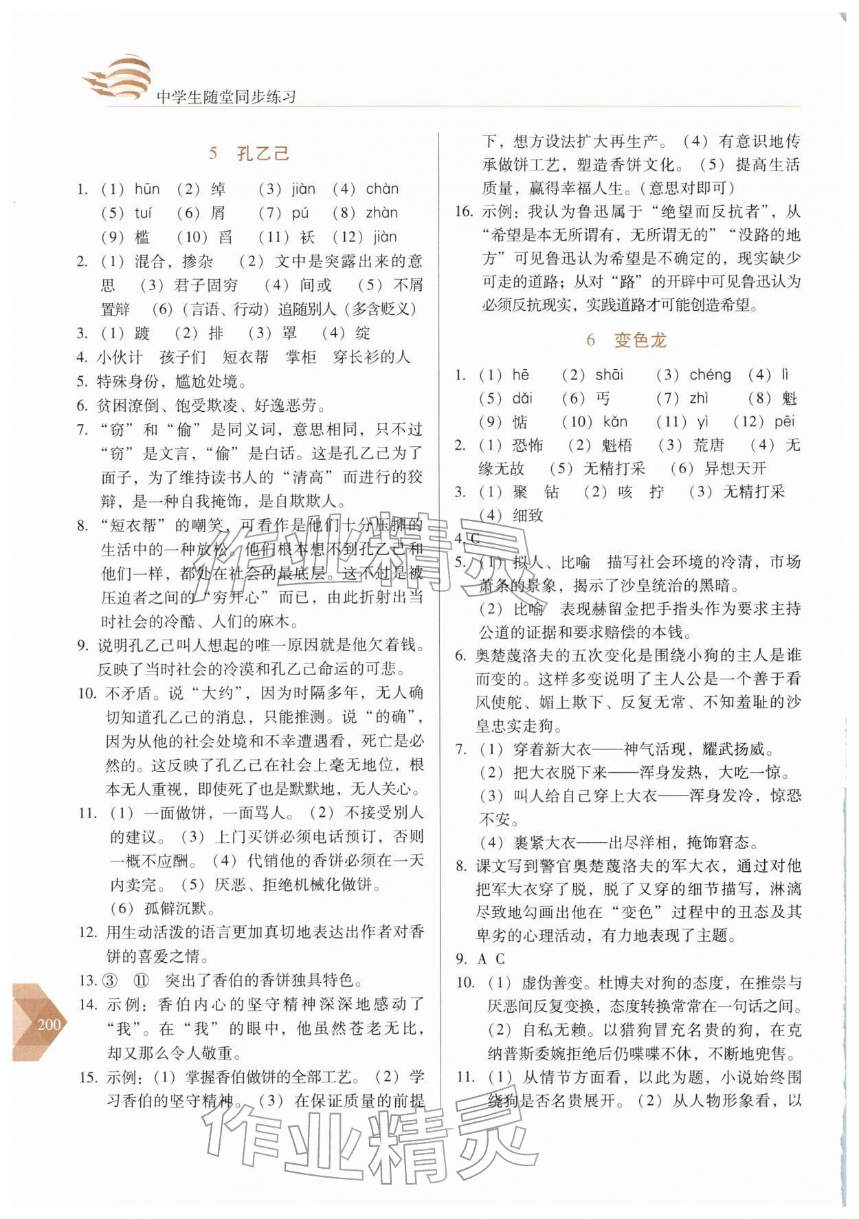 2026年随堂同步练习九年级语文下册人教版&nbsp;第4页