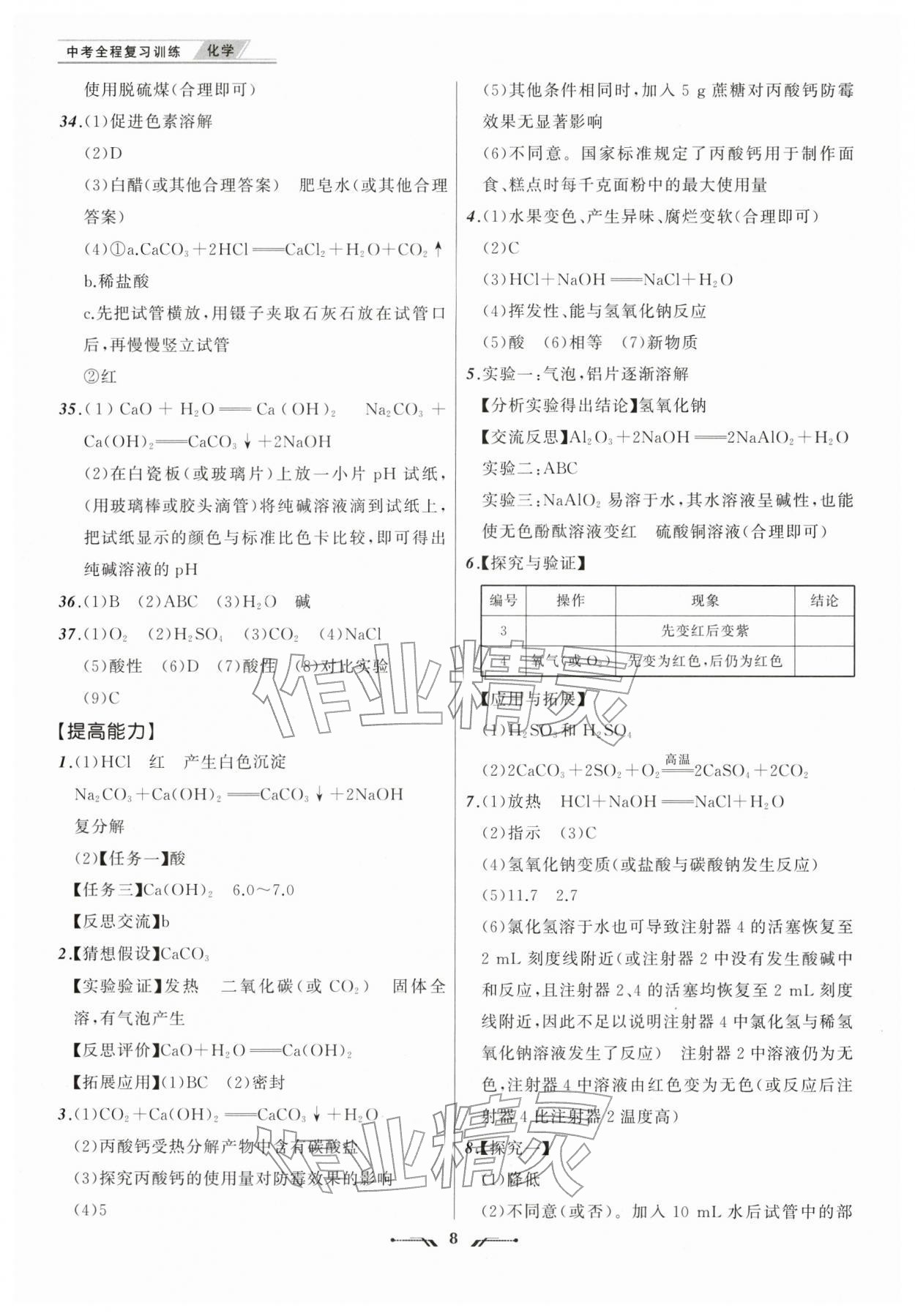 2026年中考全程复习训练化学&nbsp;第8页
