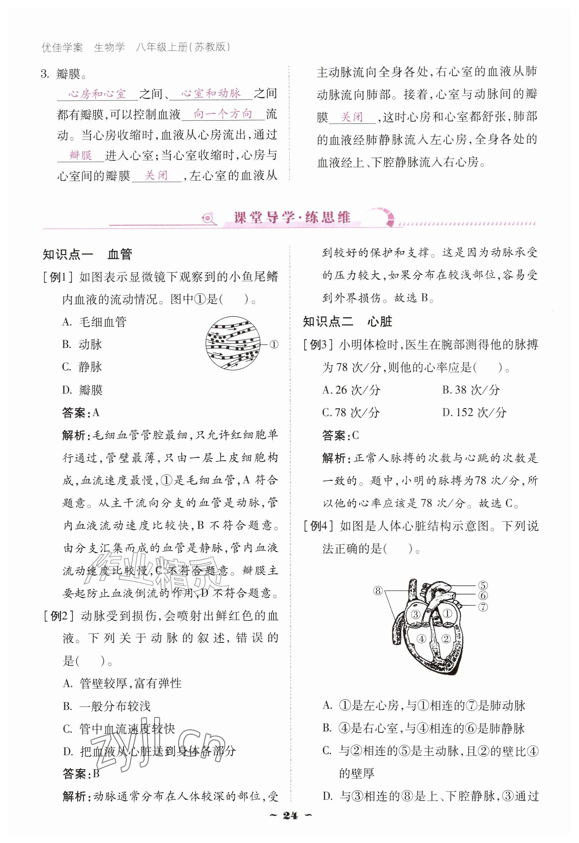 2026年优佳学案（云南）八年级生物上册苏教版&nbsp;参考答案第24页