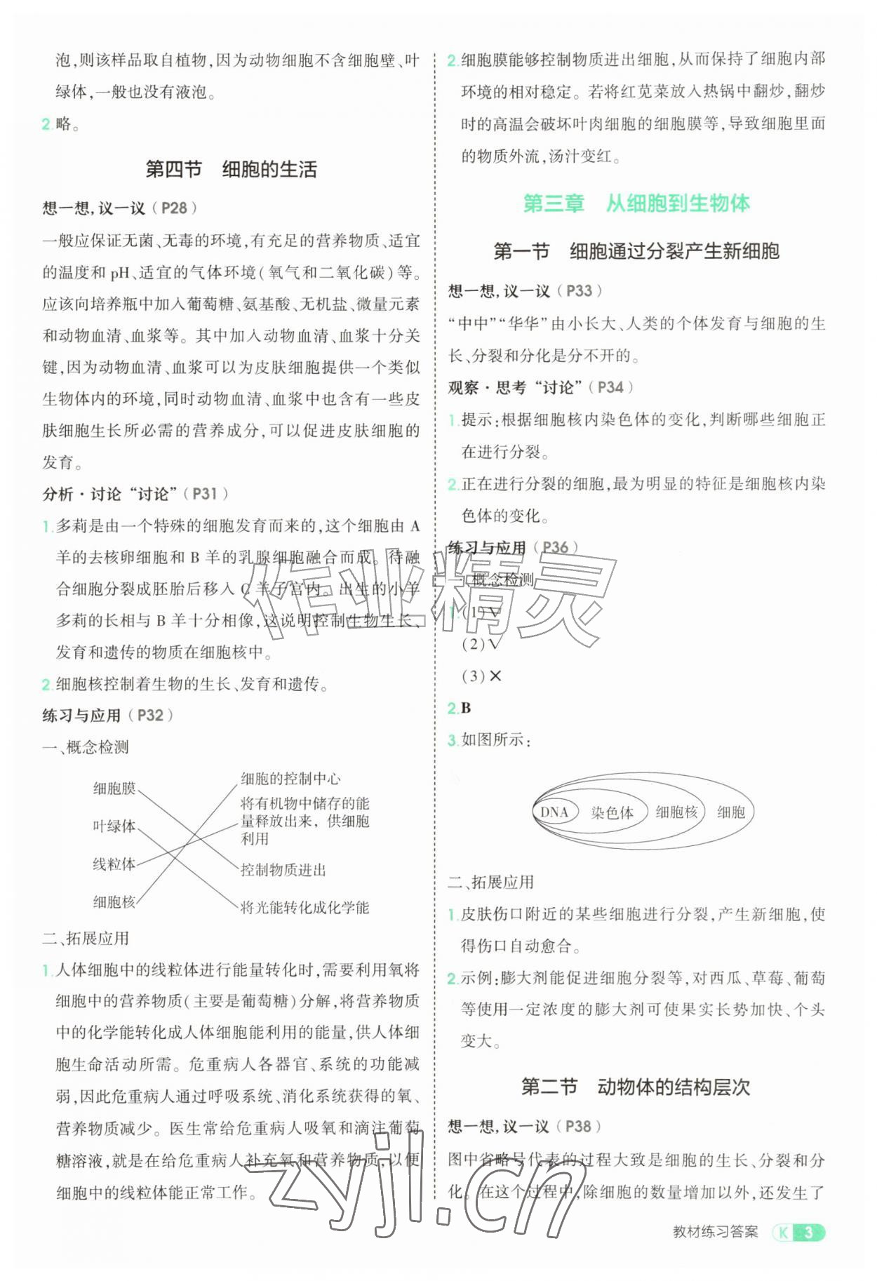 2026年教材课本七年级生物上册人教版&nbsp;参考答案第3页