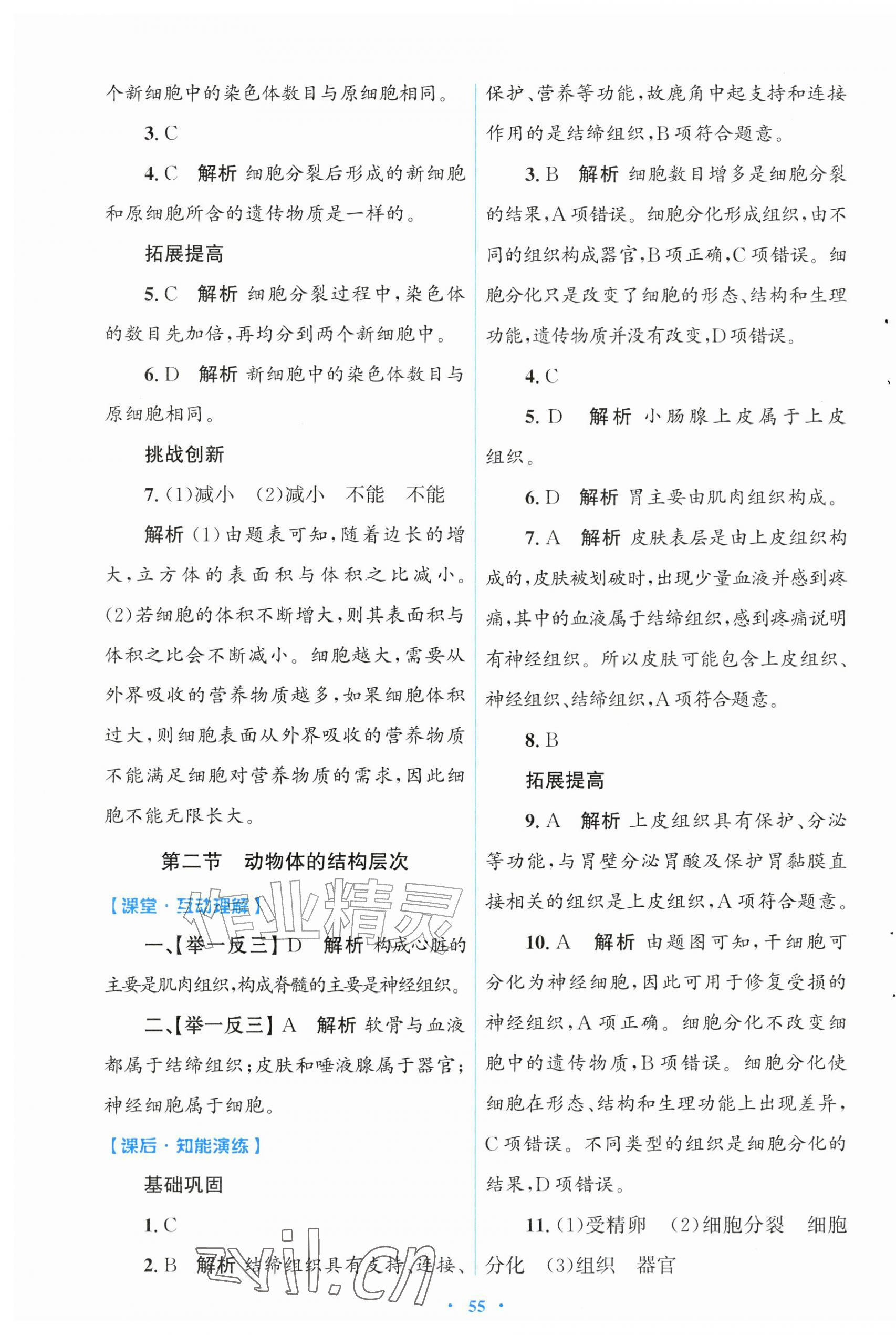 2026年同步测控优化设计七年级生物上册人教版福建专版&nbsp;第7页