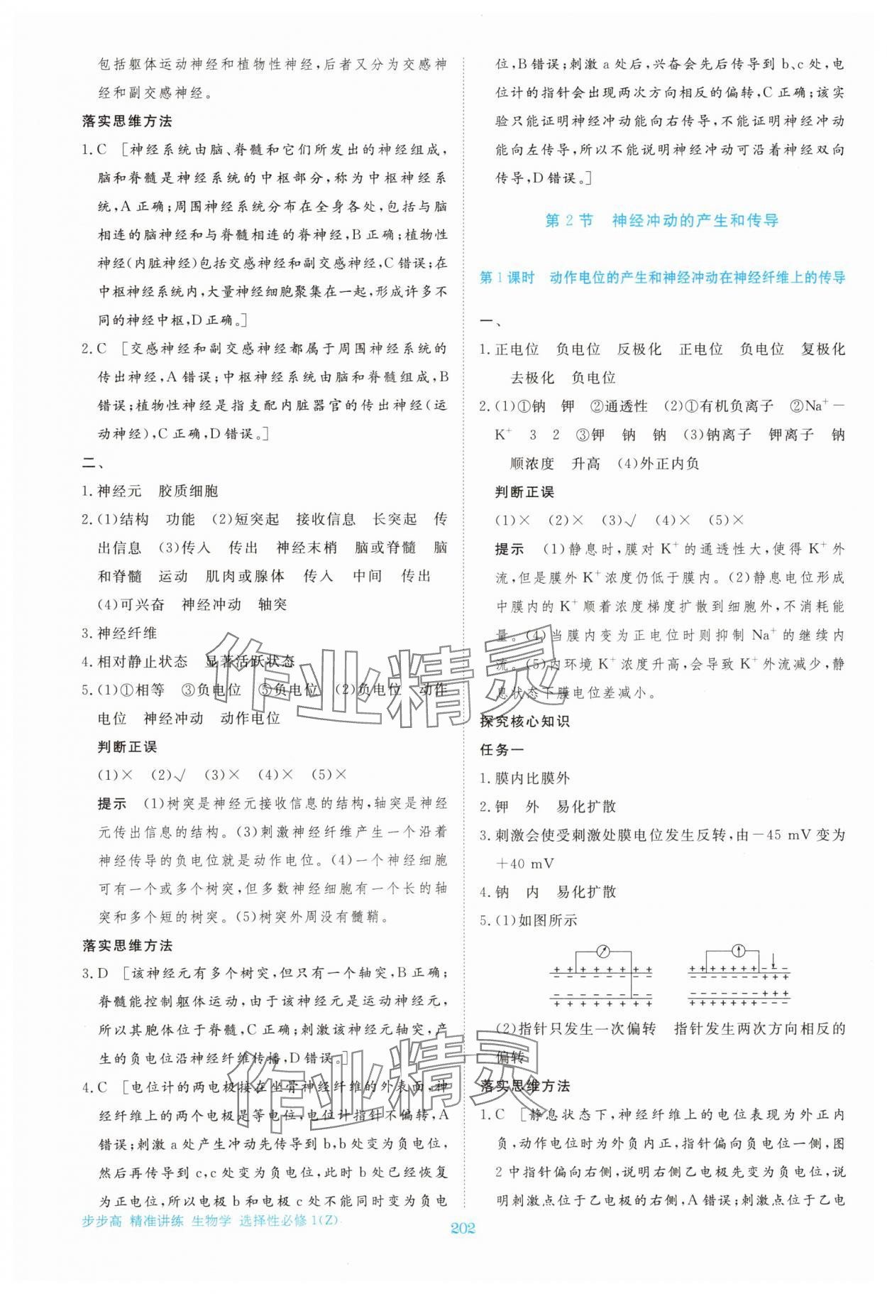 2025年步步高精准讲练高中生物选择性必修1浙科版&nbsp;第5页
