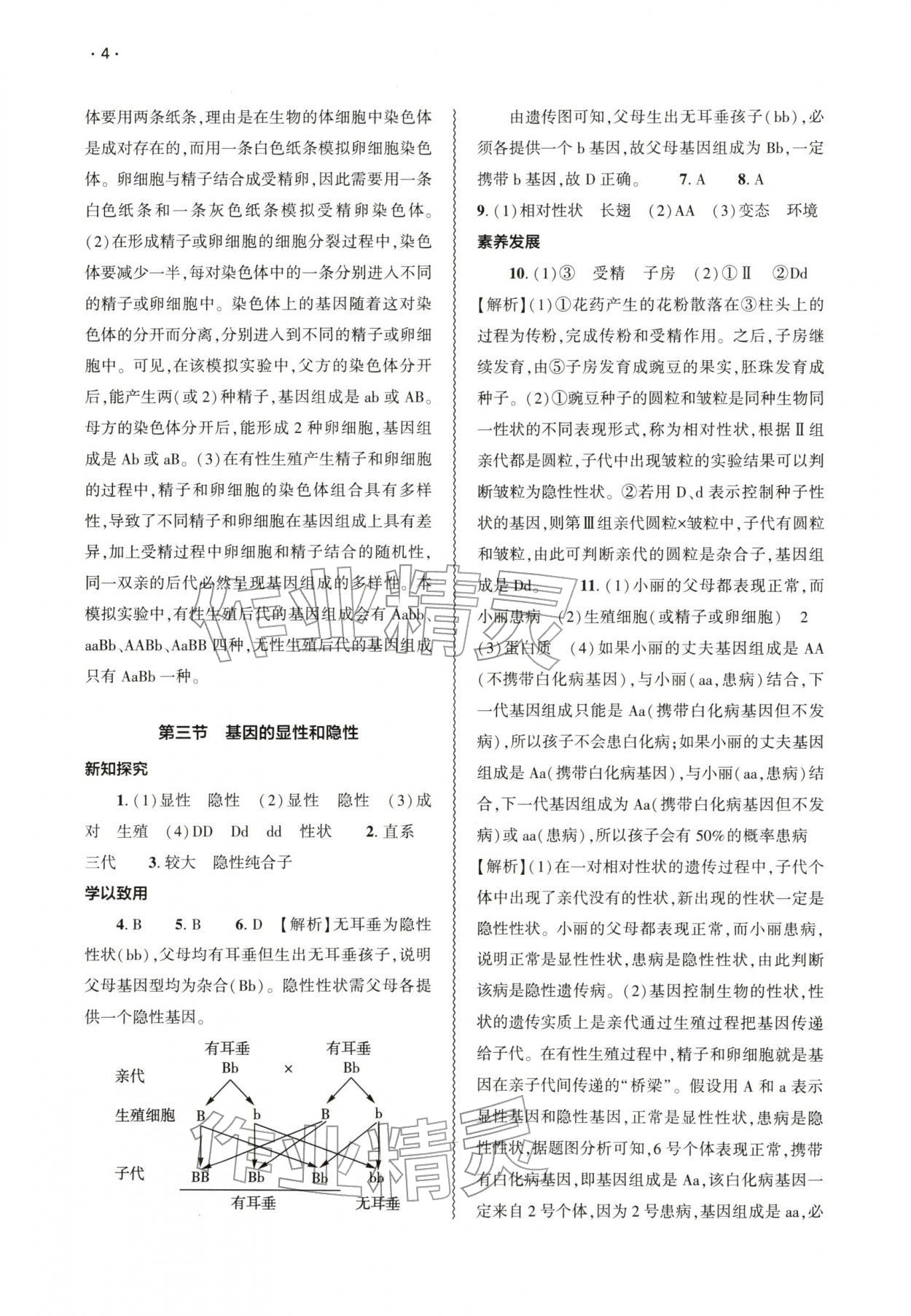 2026年基础训练大象出版社八年级生物下册人教版&nbsp;第4页