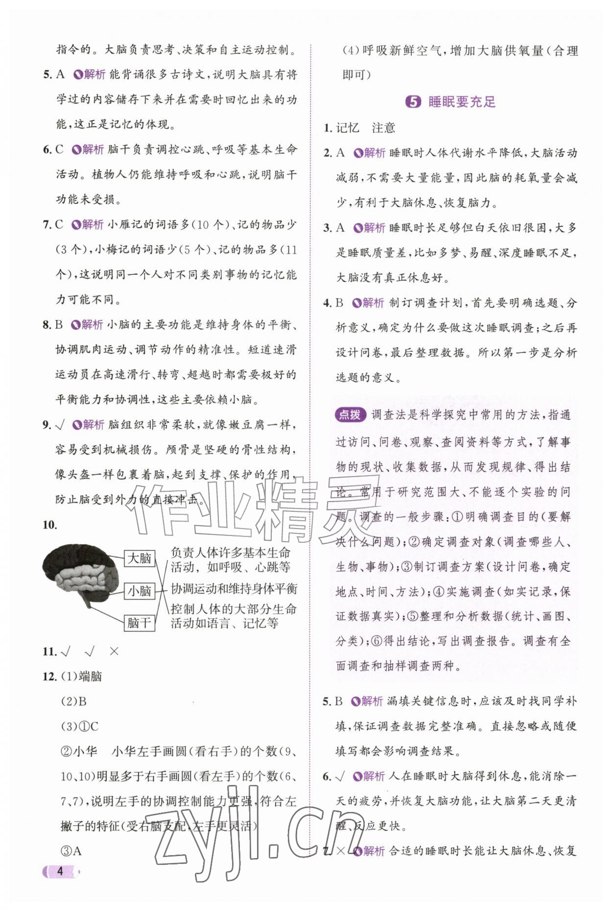 2026年奔跑吧天天练六年级科学上册教科版&nbsp;参考答案第4页
