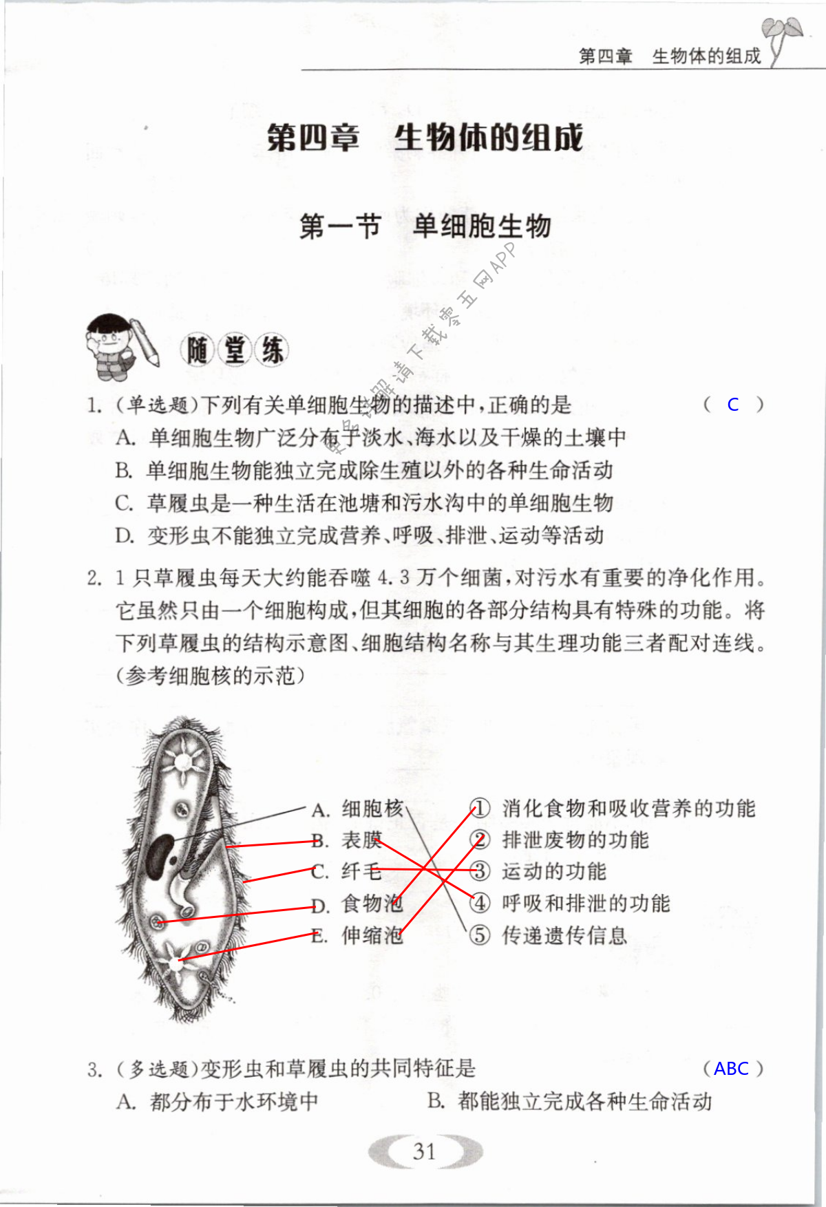 第31页