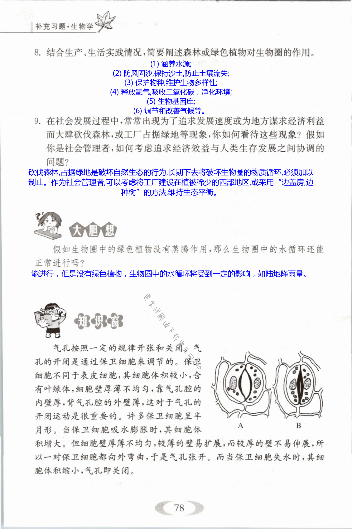 第78页