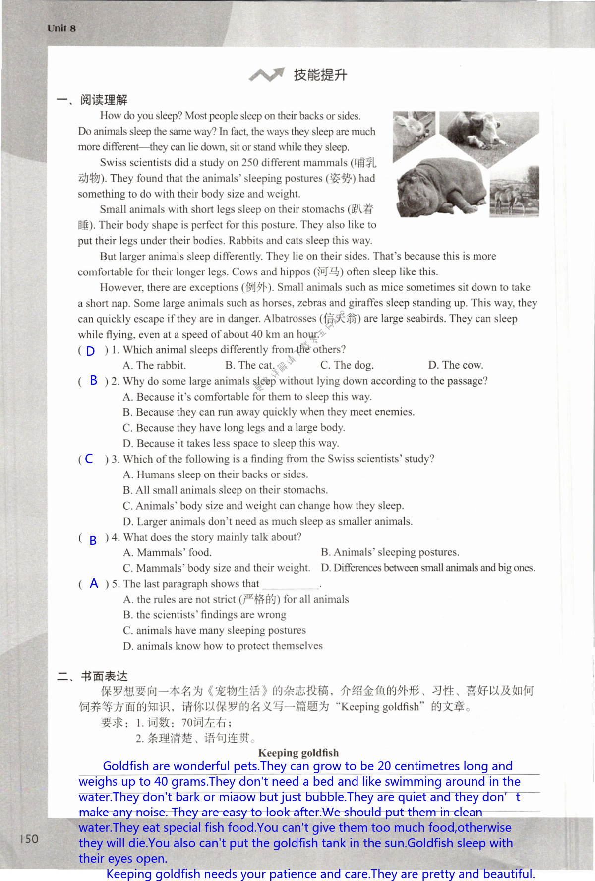 Unit 8 Pets - 第150页