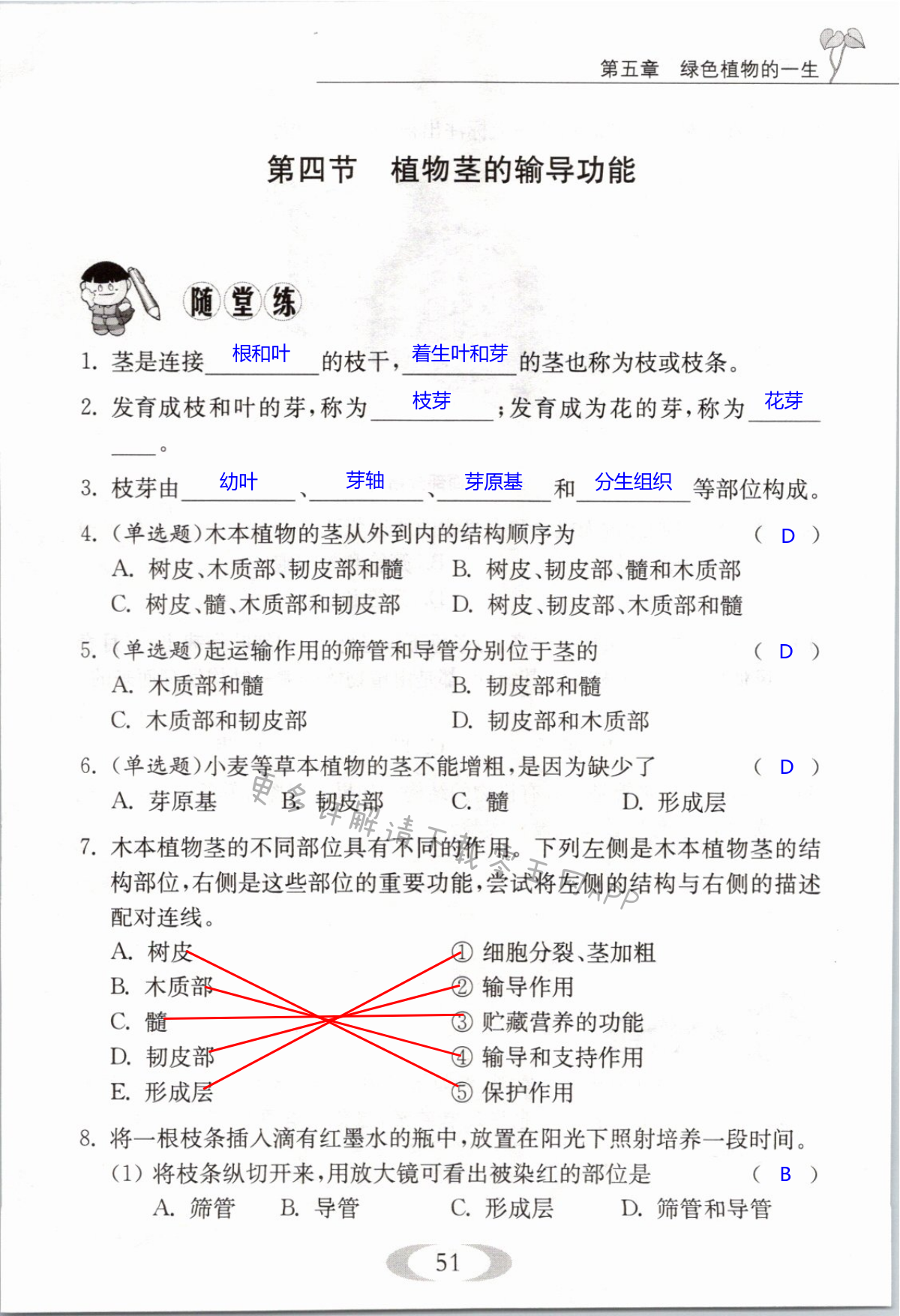 第51页