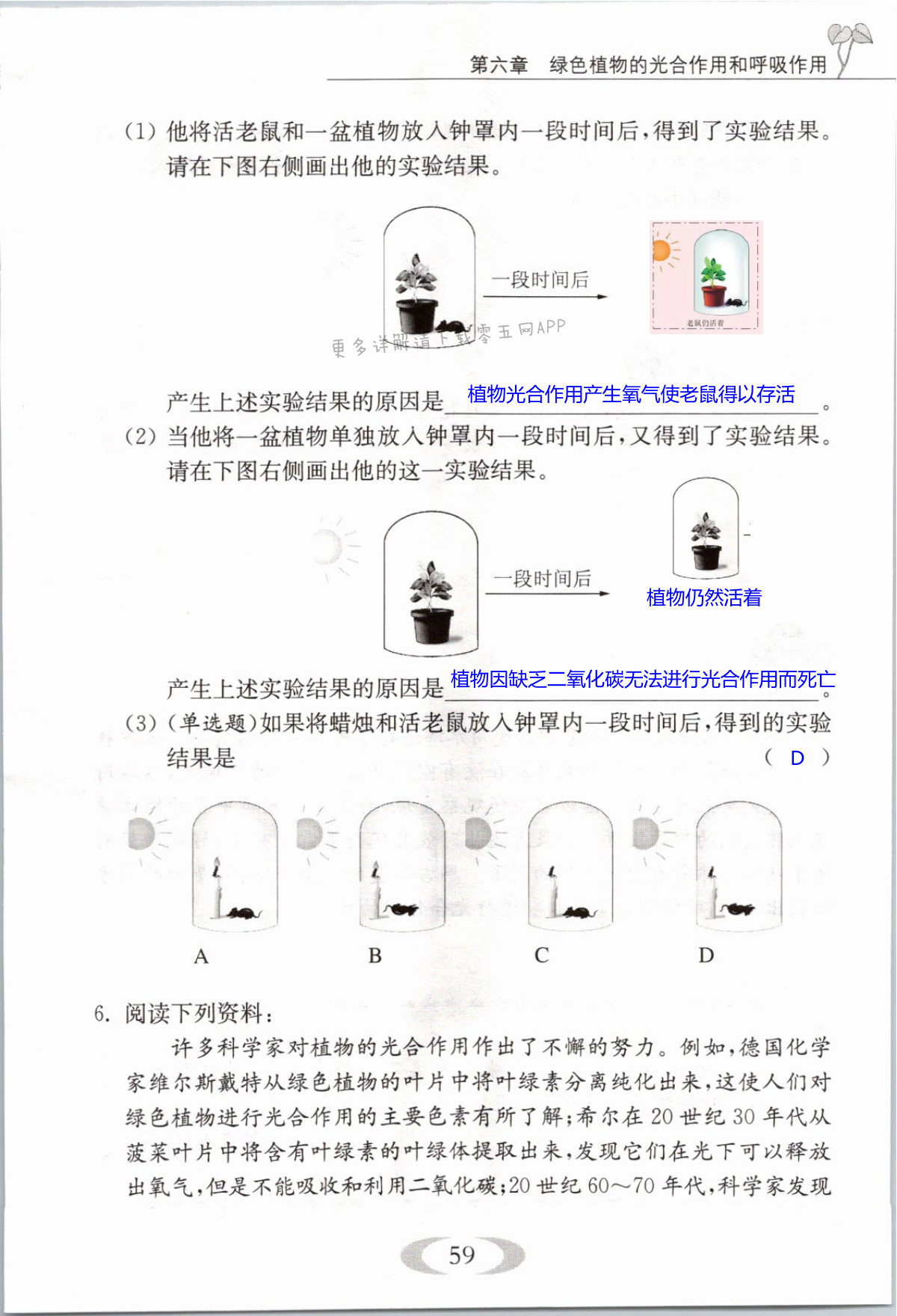 第59页