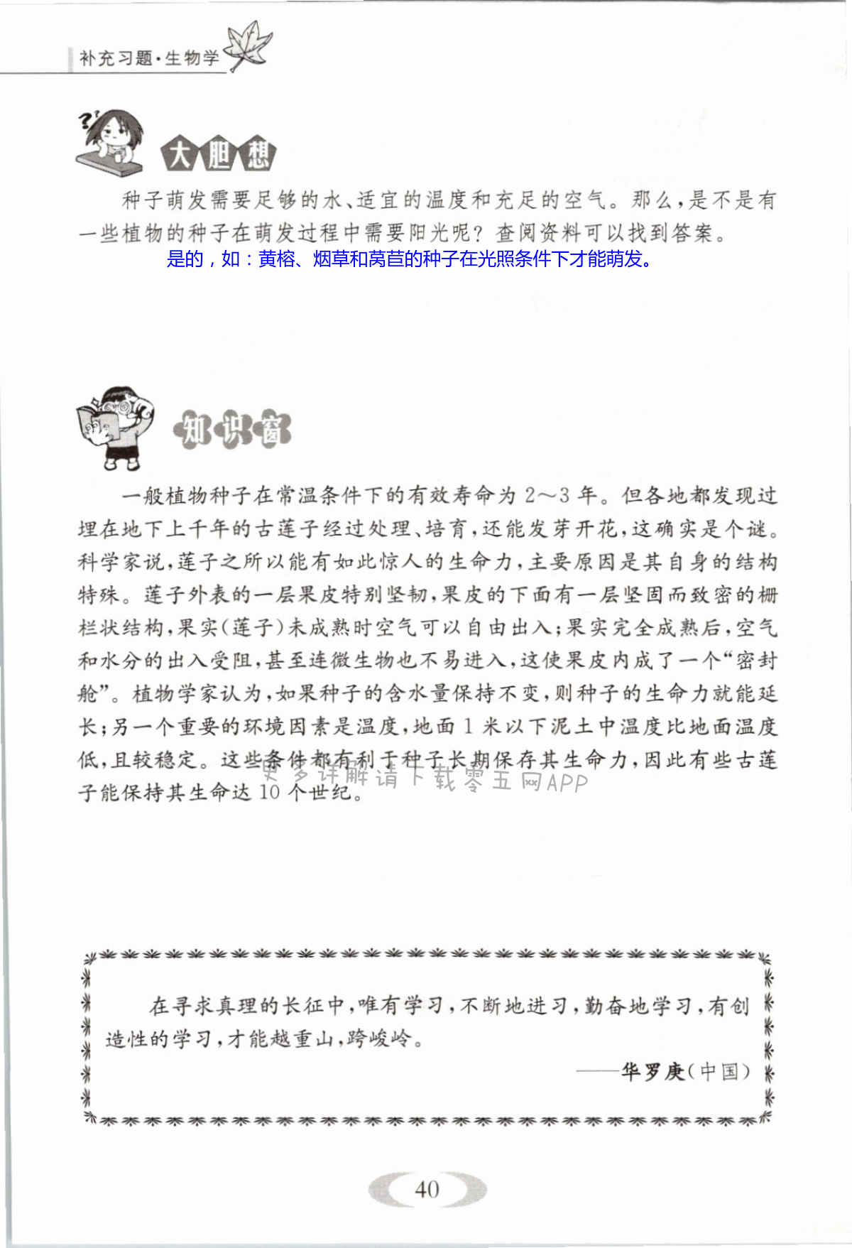 第40页