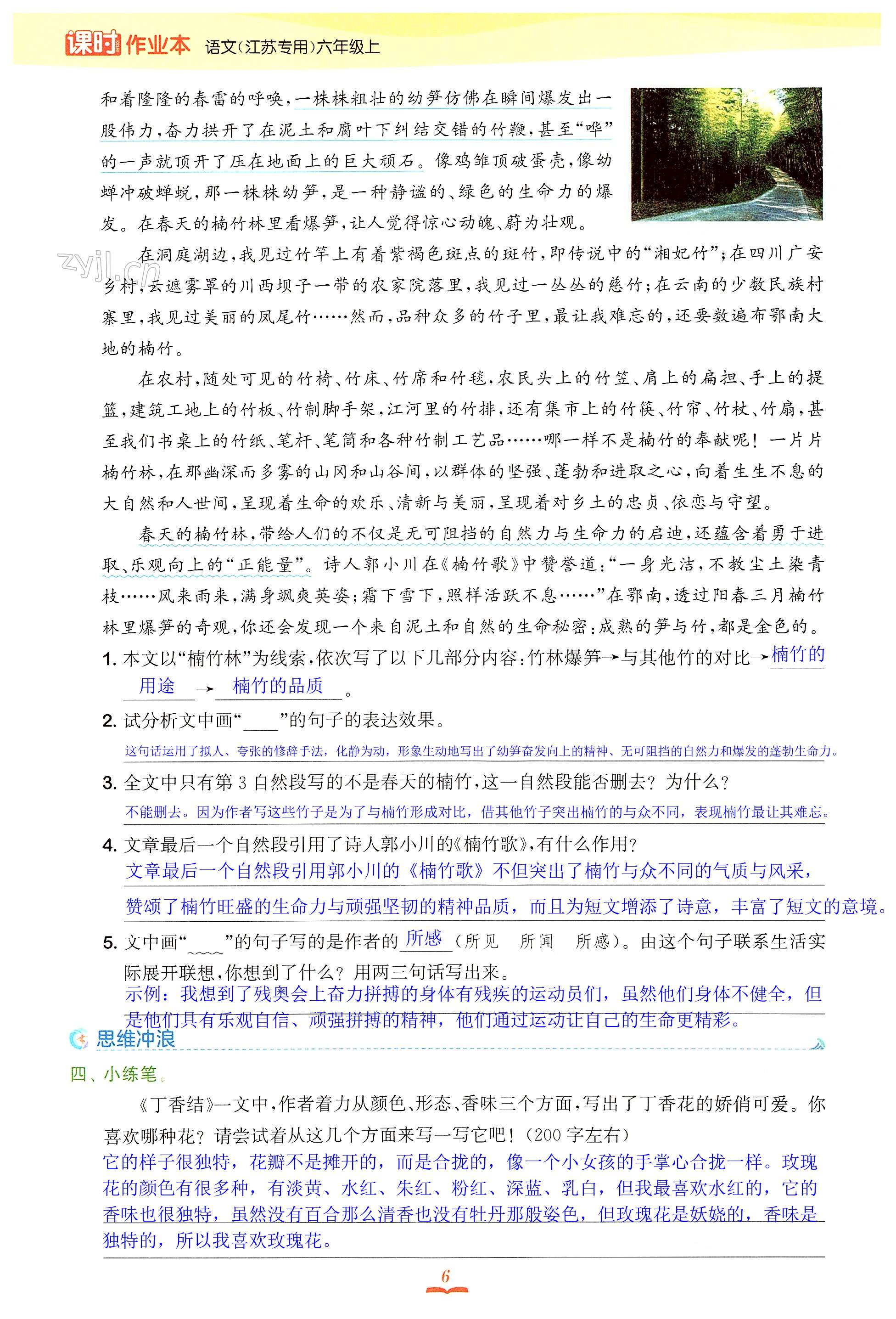 2 丁香结 - 第6页