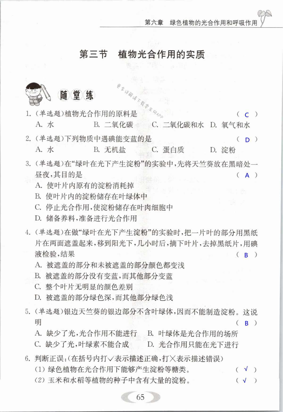 第65页