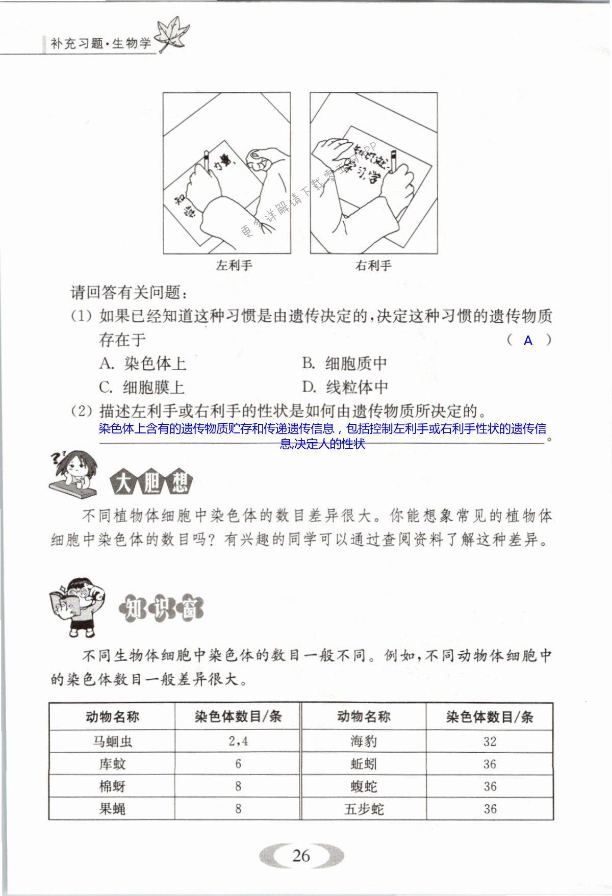 第26页