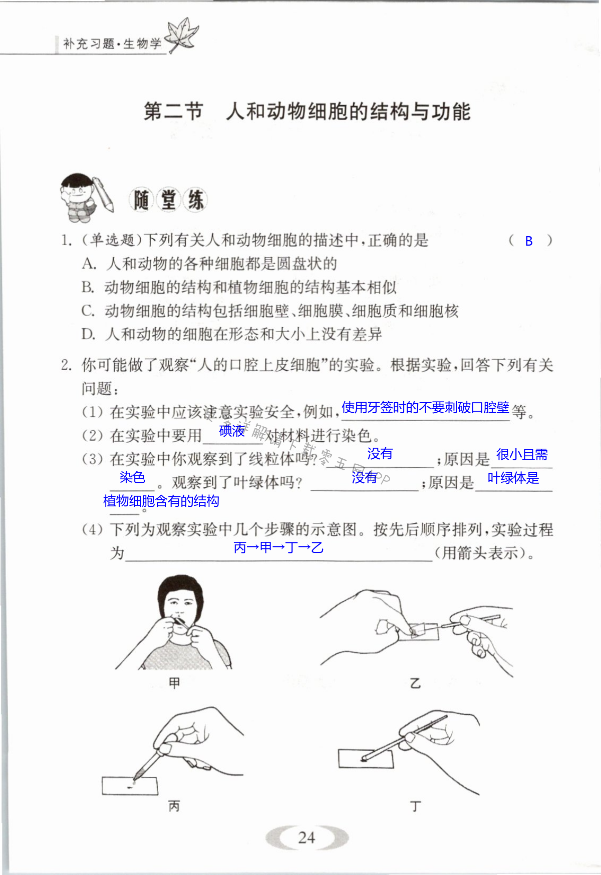 第24页