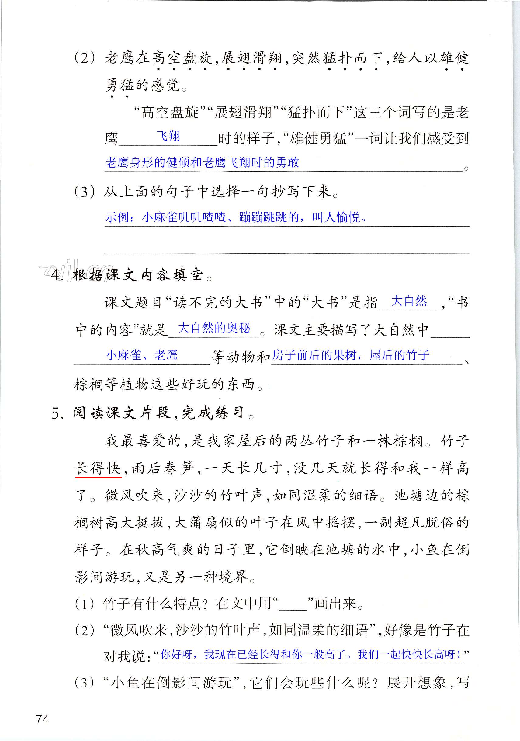 第74页