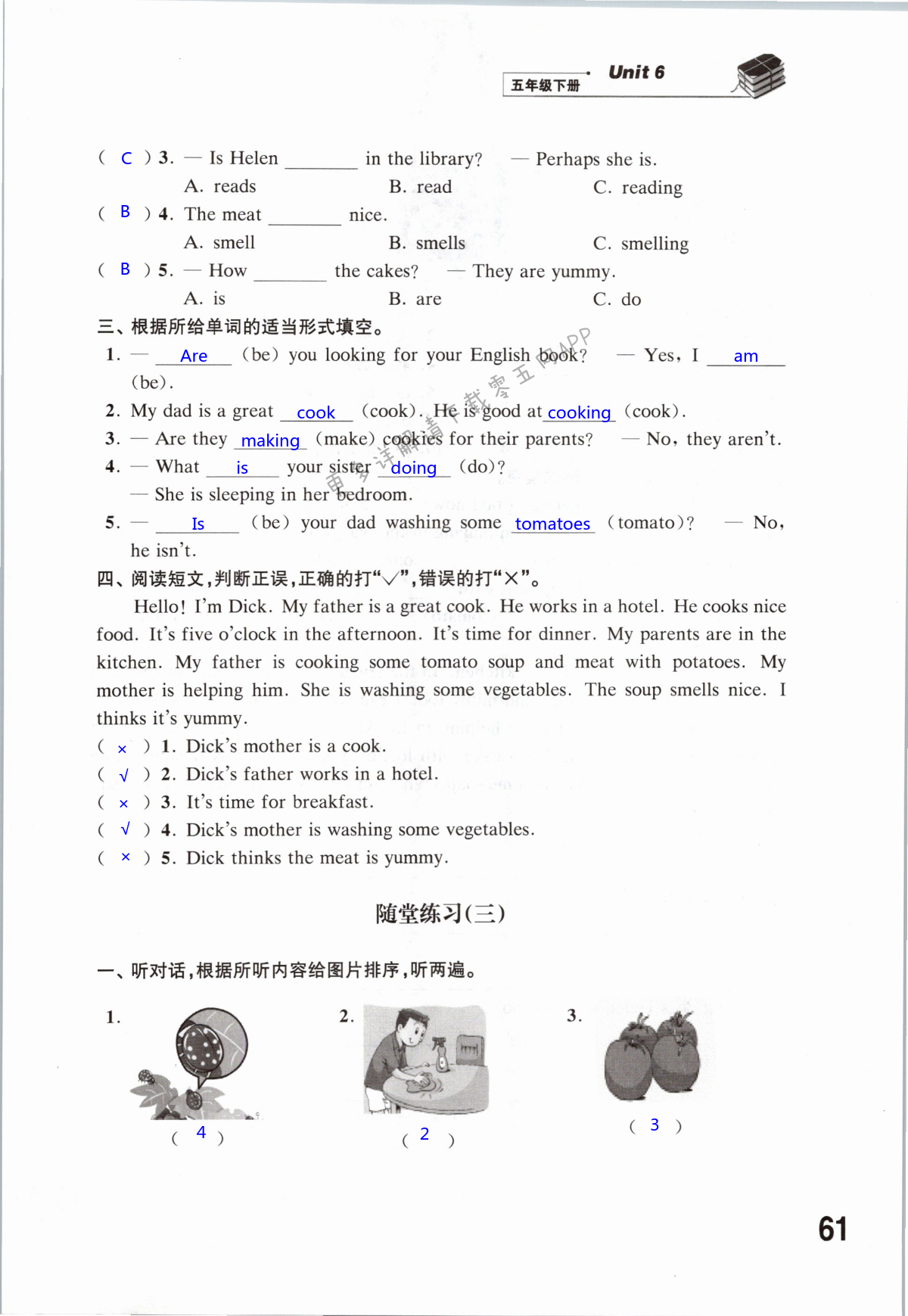 第61页