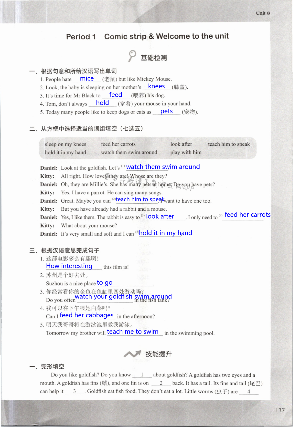 Unit 8 Pets - 第137页