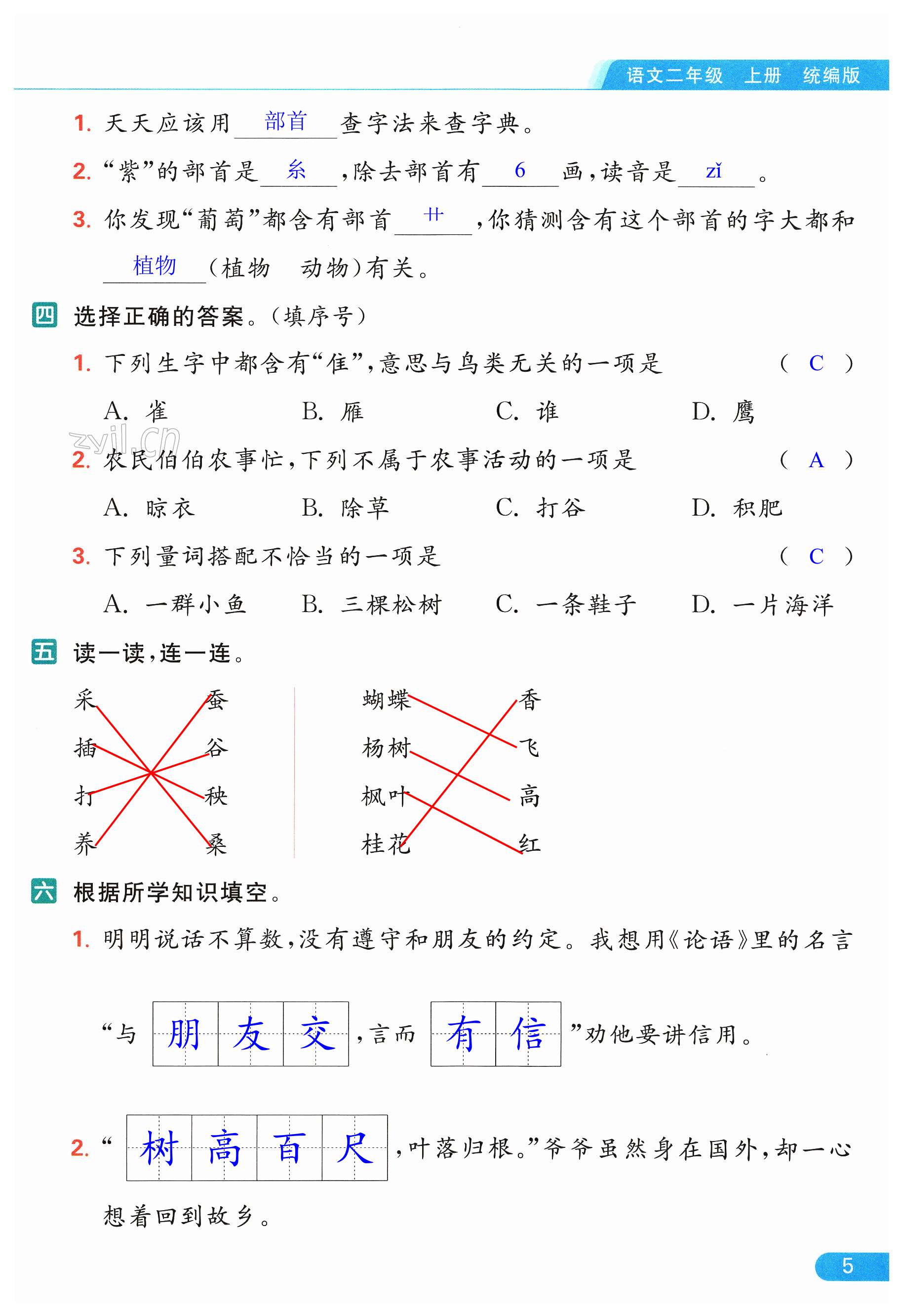 第5页