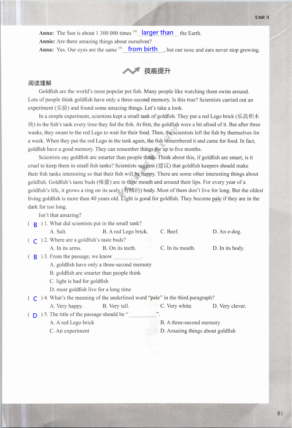 Unit 5 Amazing things - 第81页