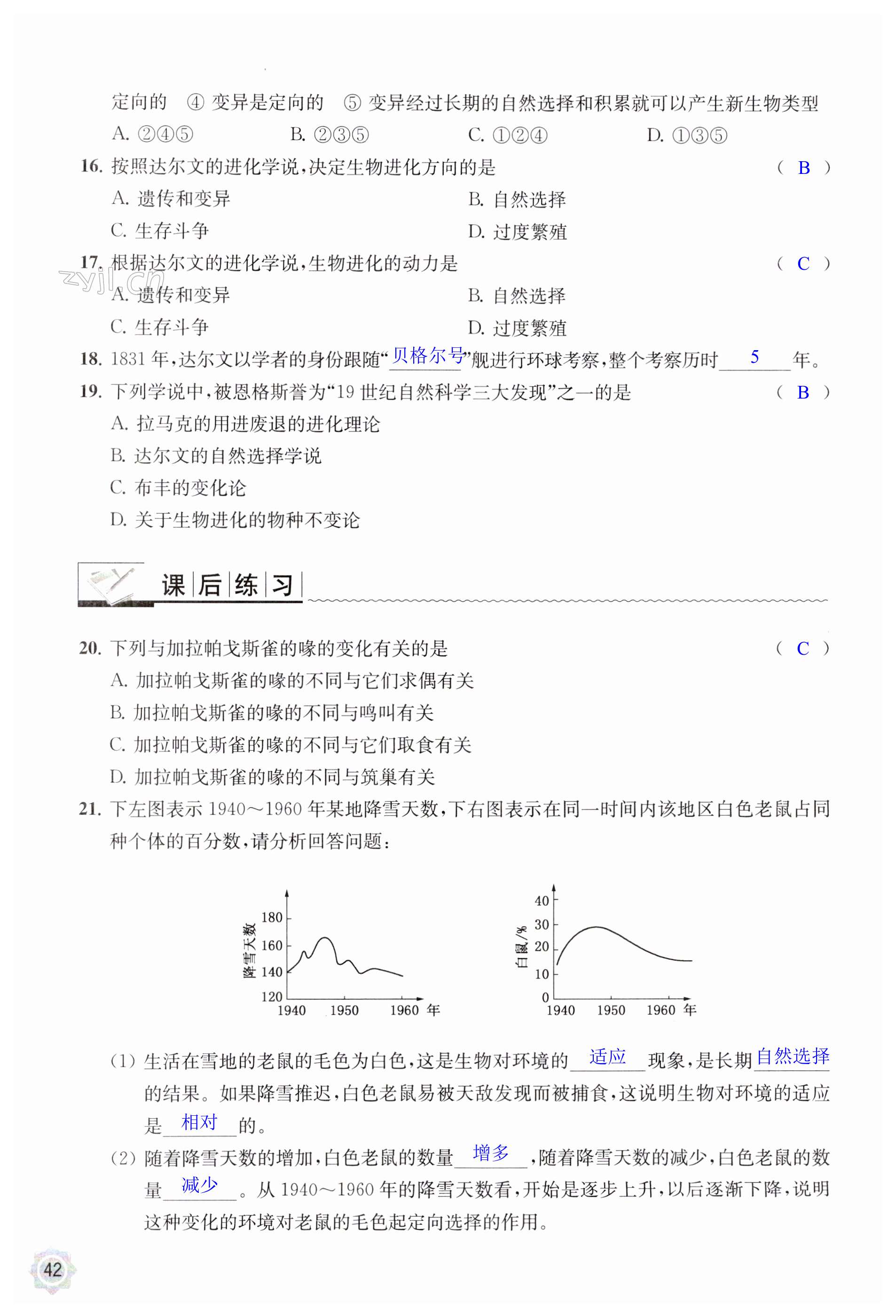 第42页