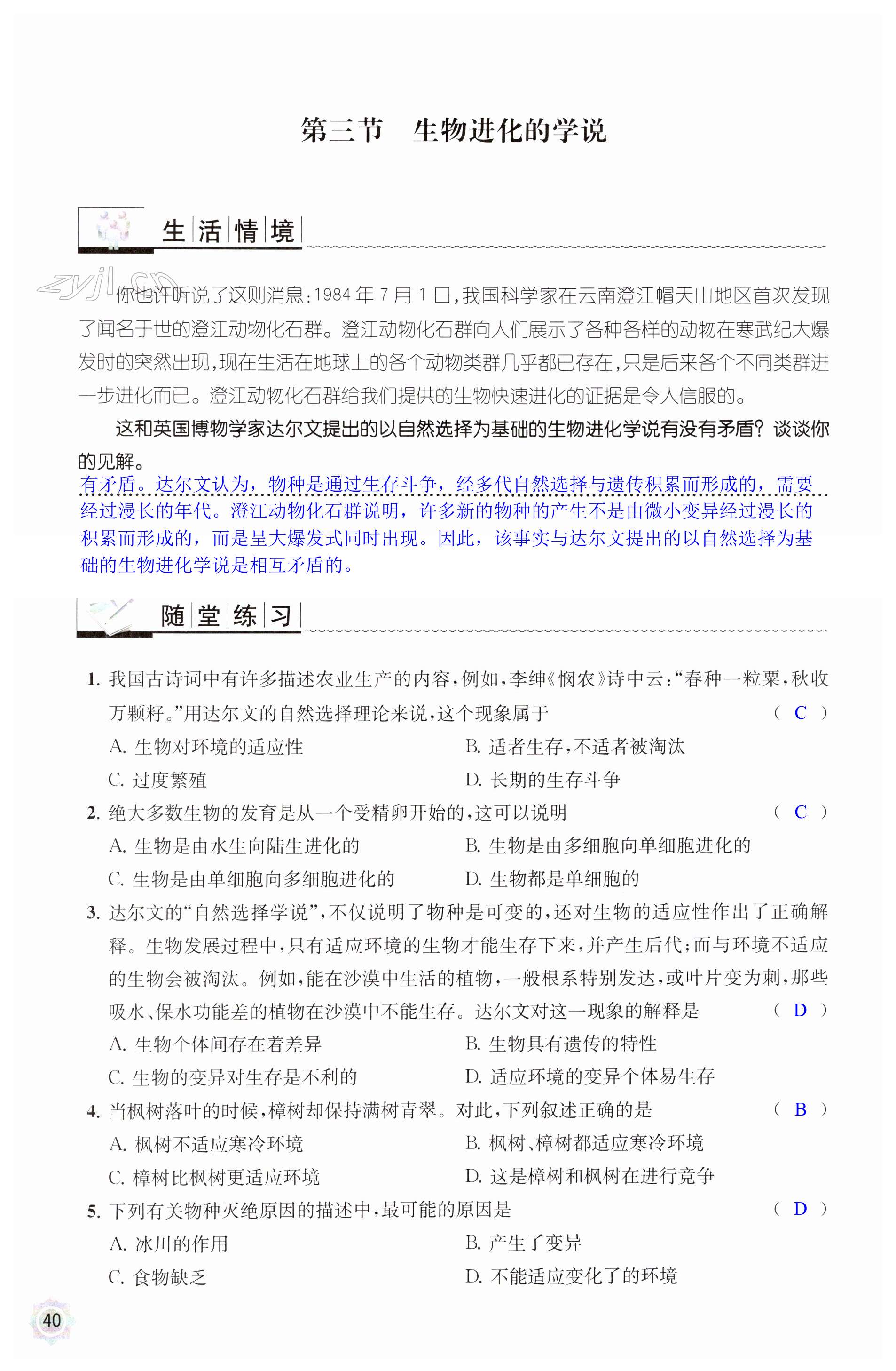 第40页